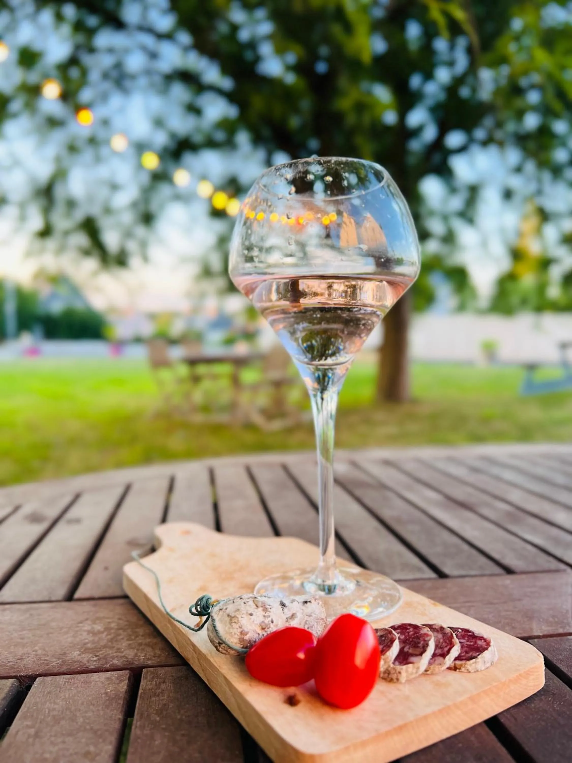 Garden in Hôtel L'Orée des plages