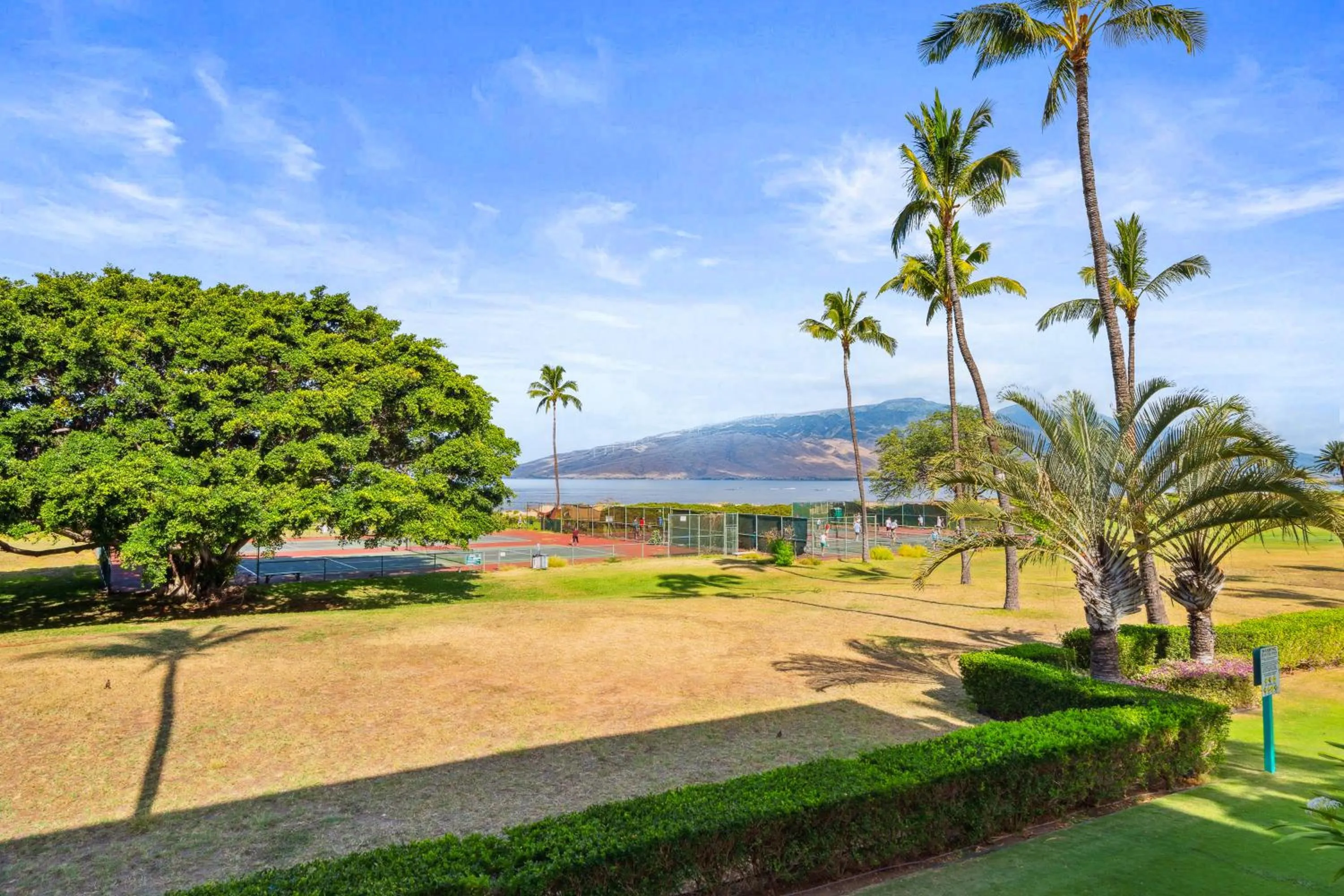 Spring in Maui Schooner Resort