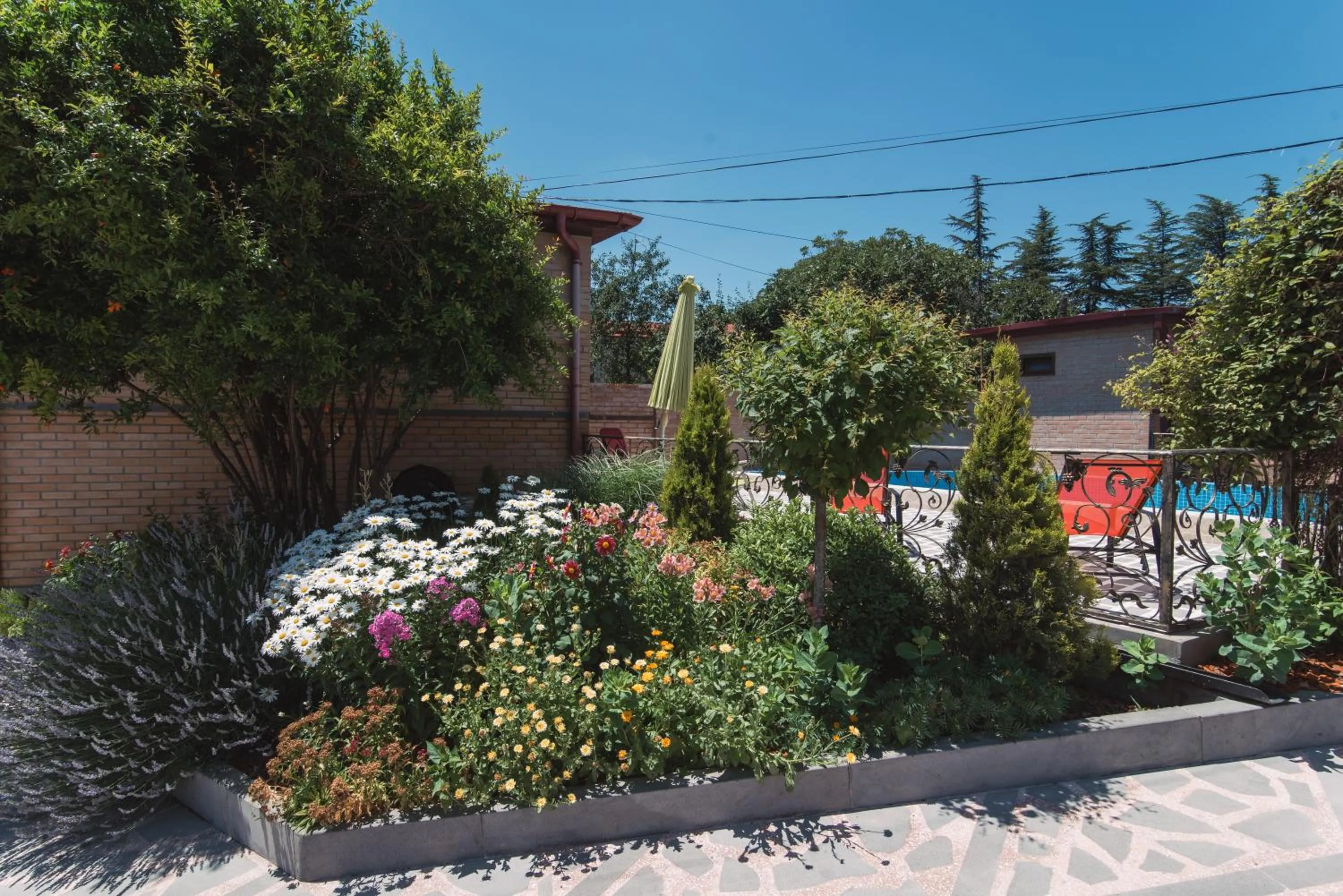 Garden in My Georgian village