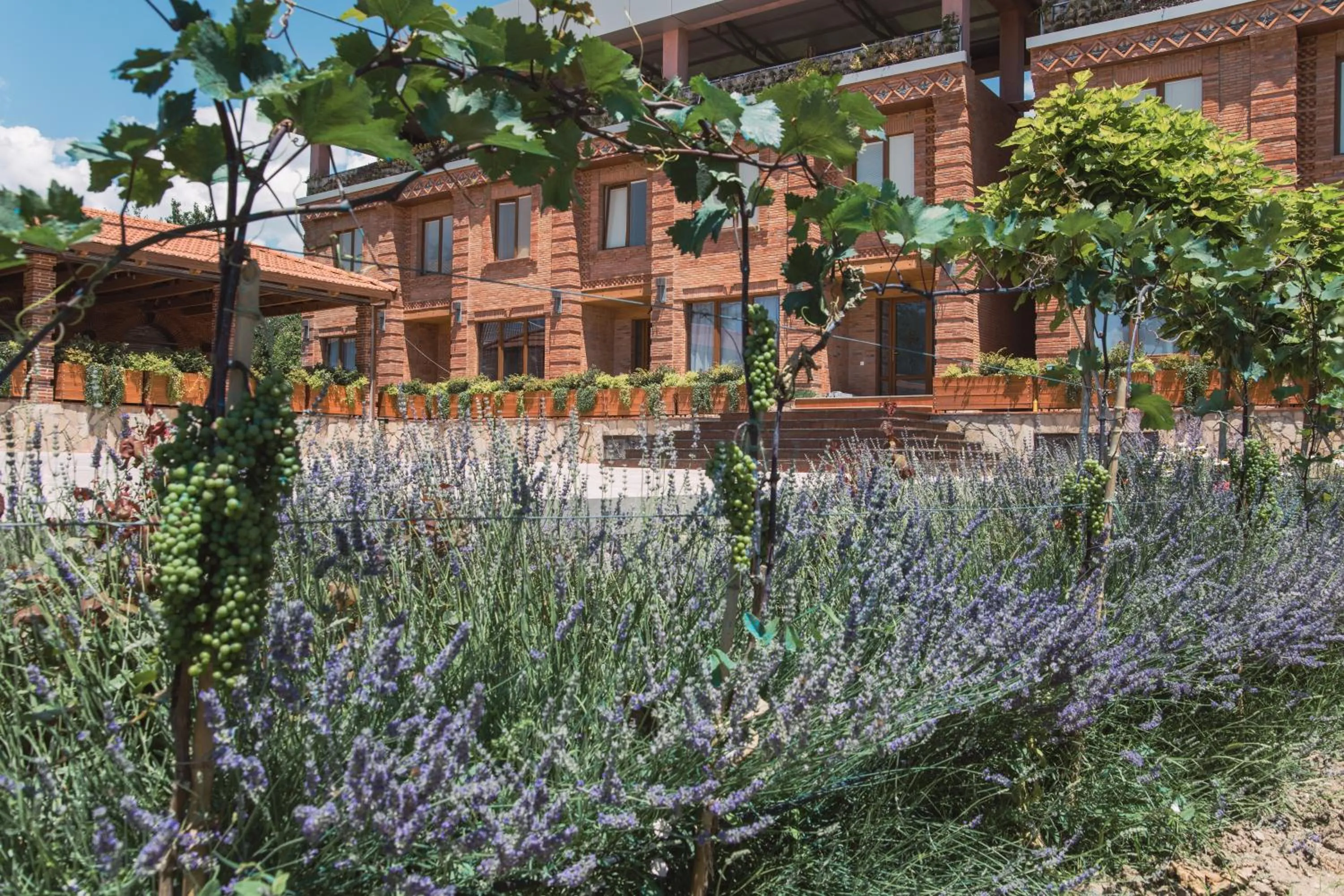 Property building in My Georgian village