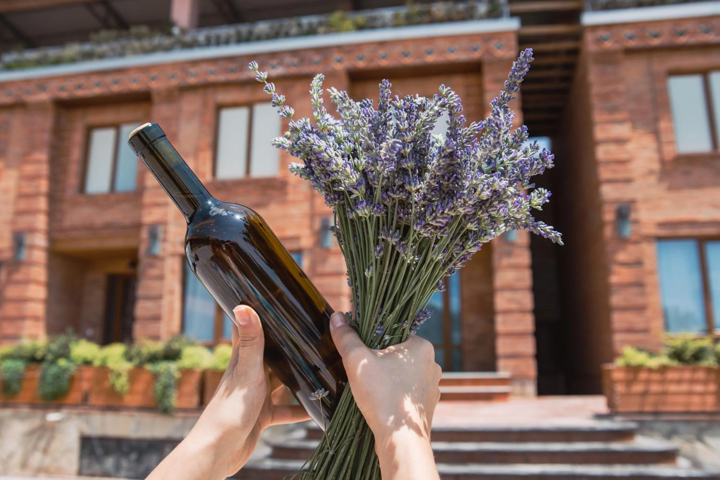 Property building in My Georgian village