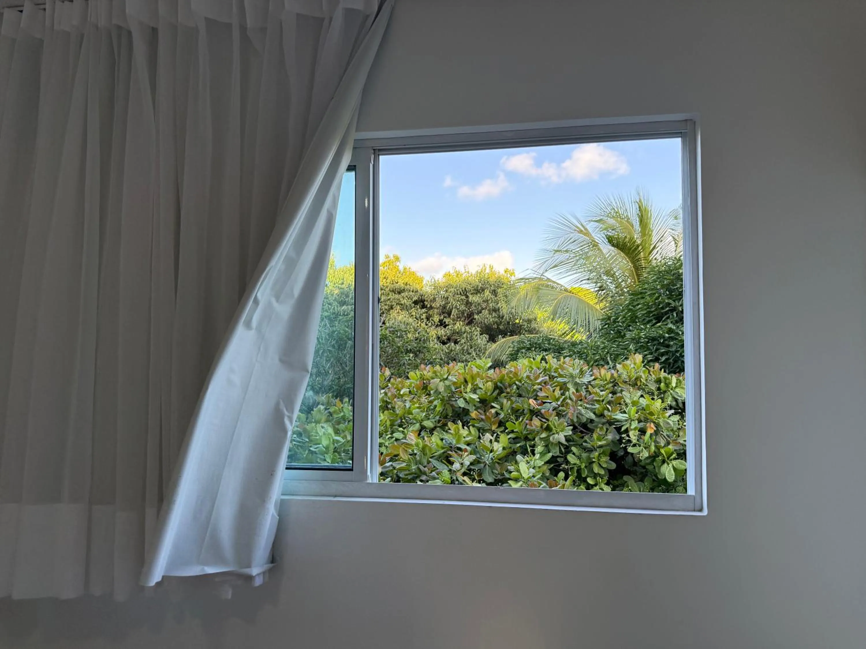 Garden view in Porto Vila by AFT