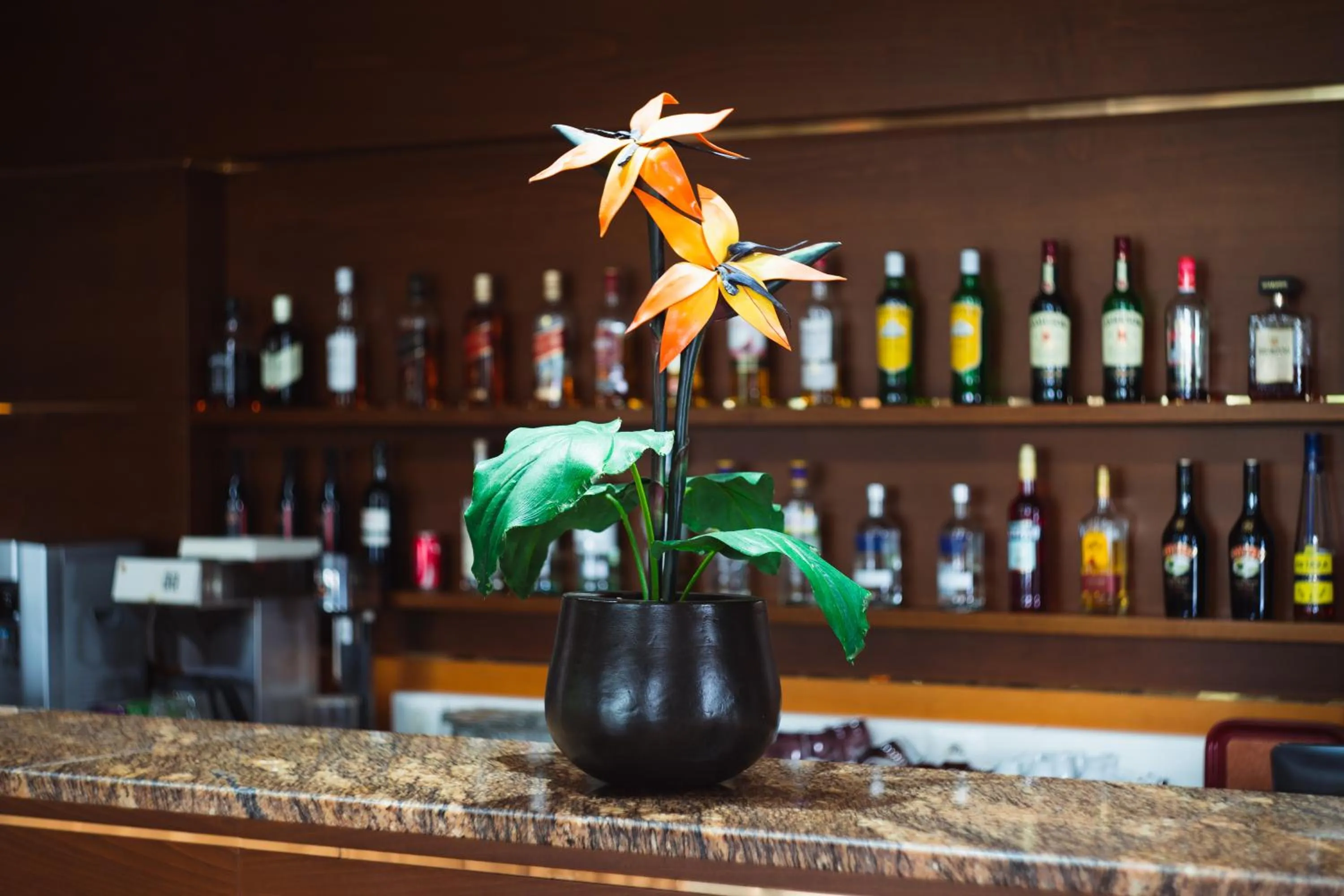 Lounge or bar in Byzantio Hotel