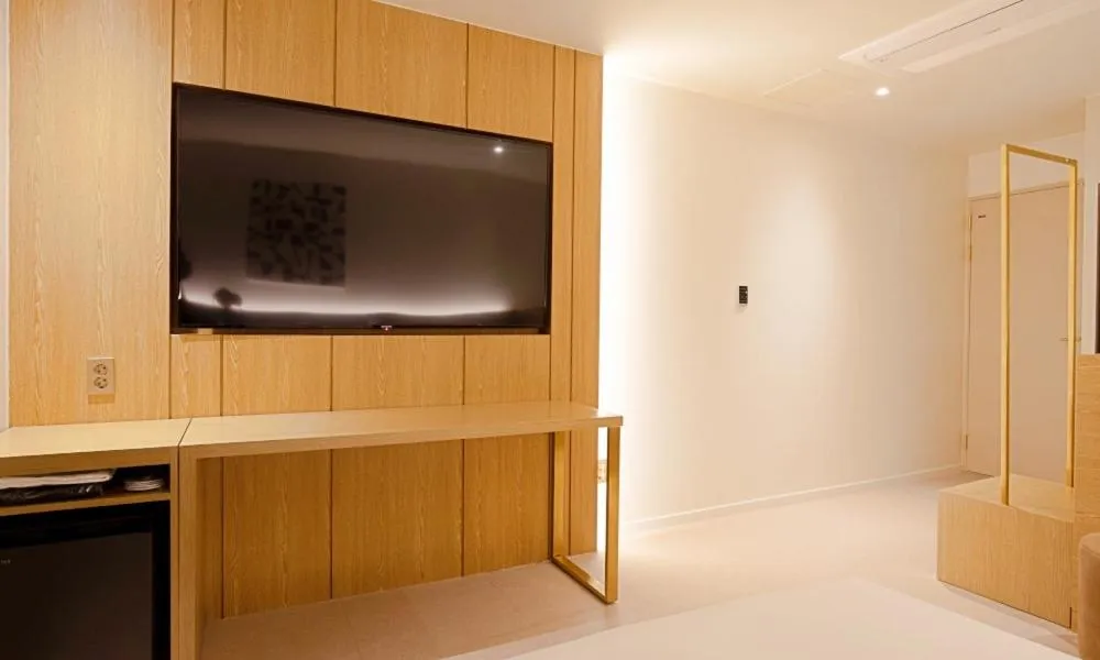 TV and multimedia in Hotel Ippda Gumdan