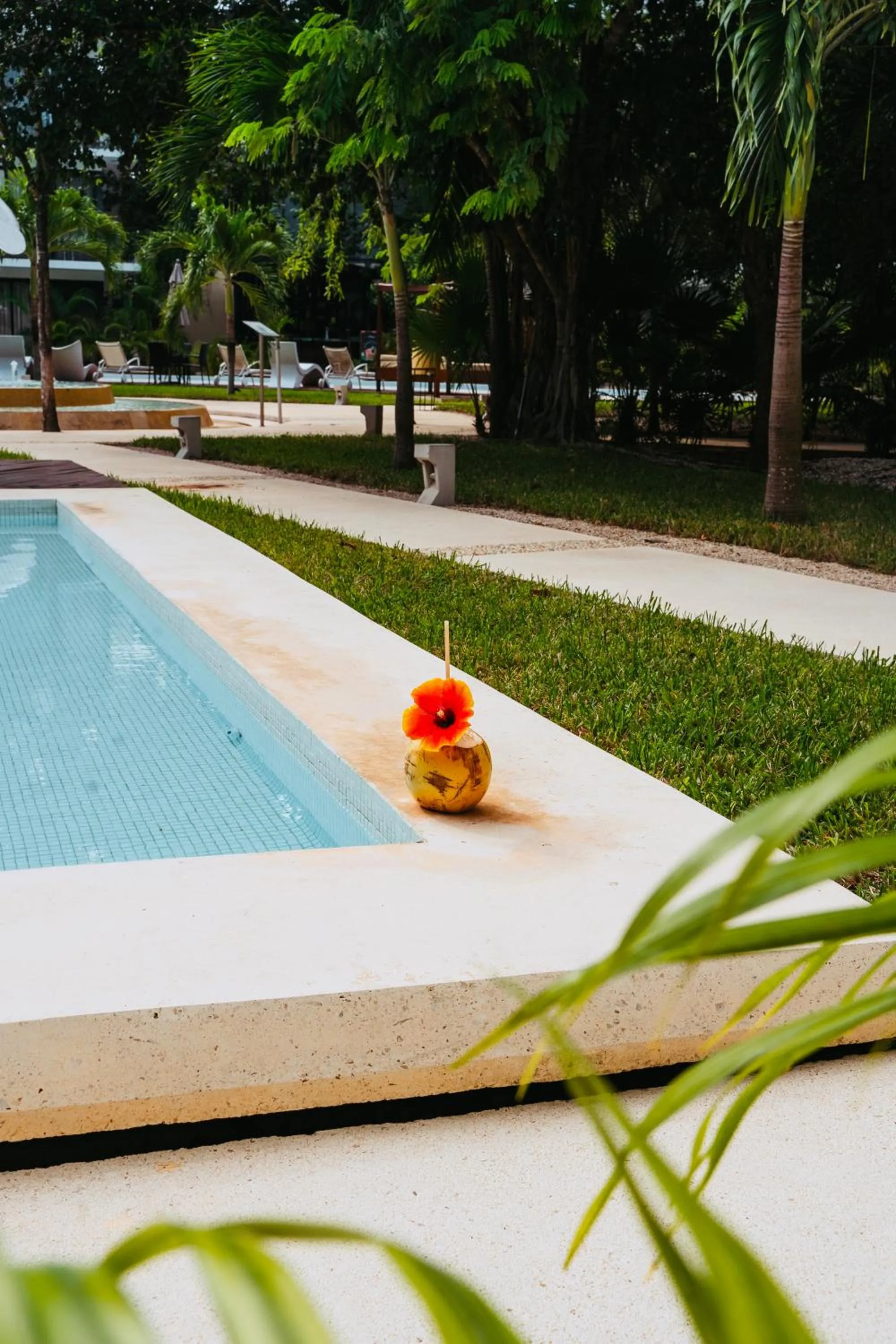 Luz de Luna Tulum Suite II