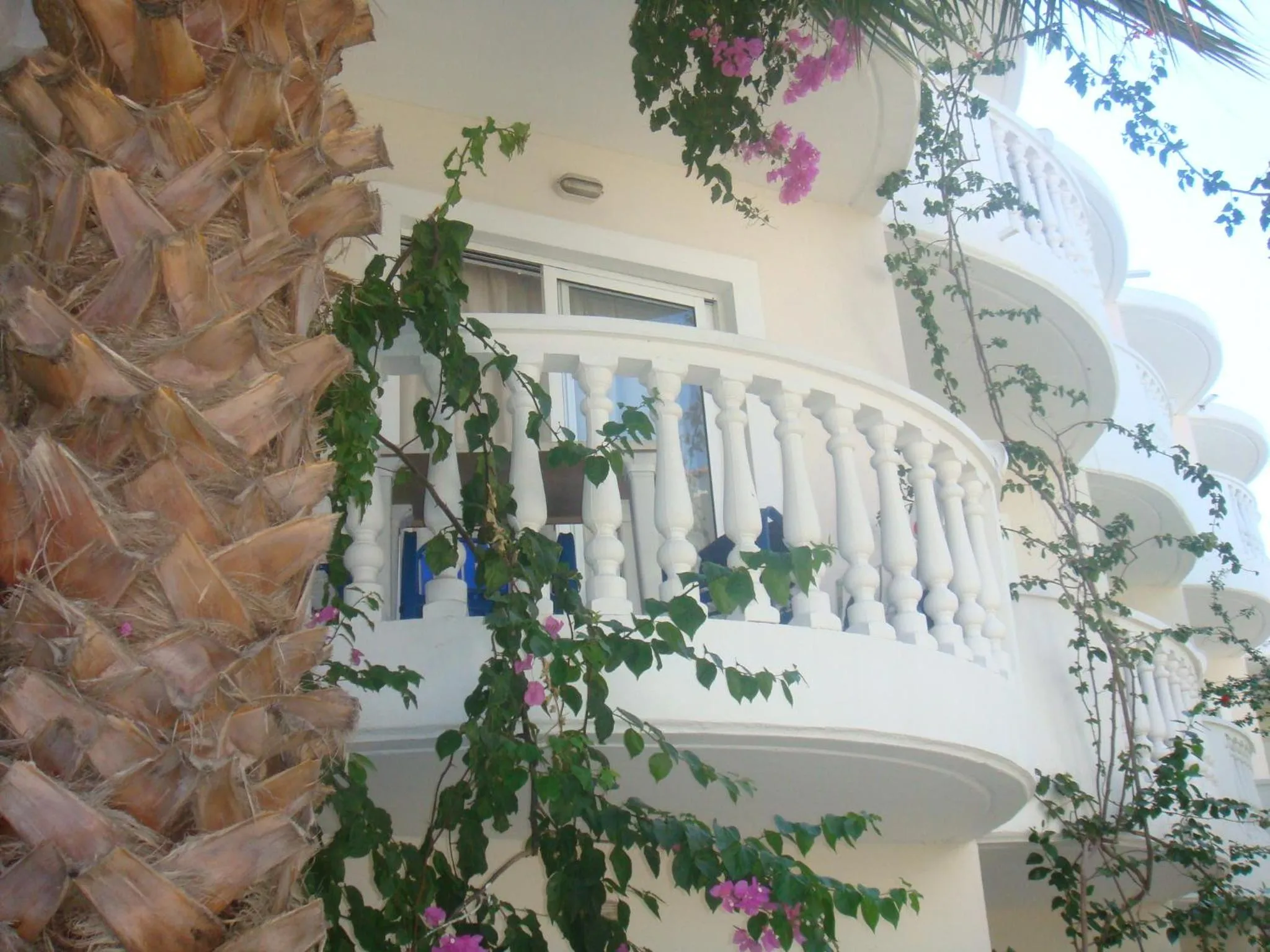 Property building in White Palace Studios