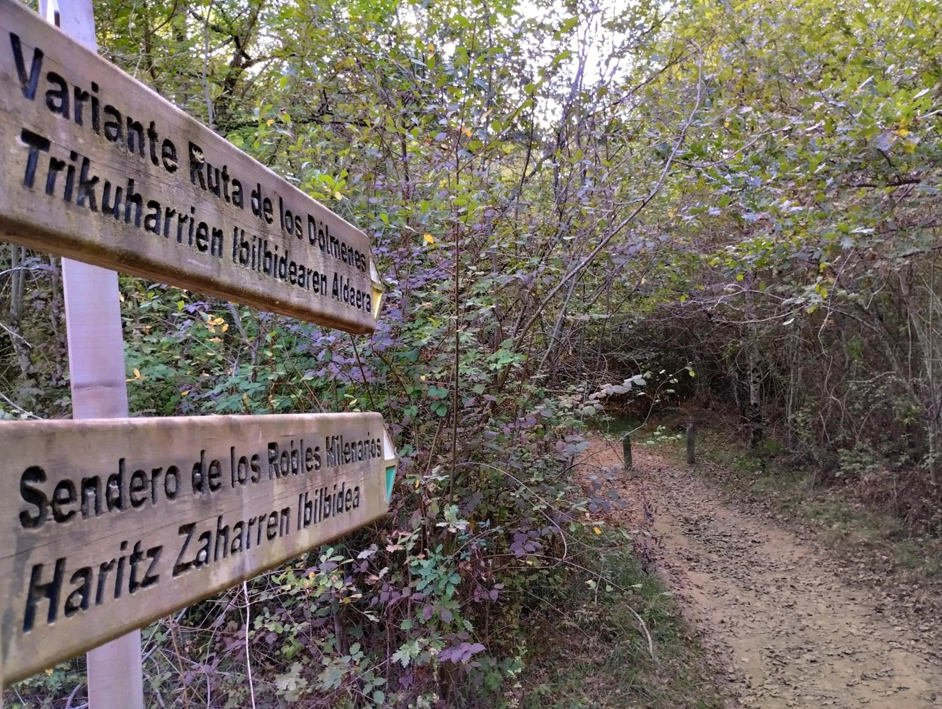 Hiking in CAMPING ETXARRI