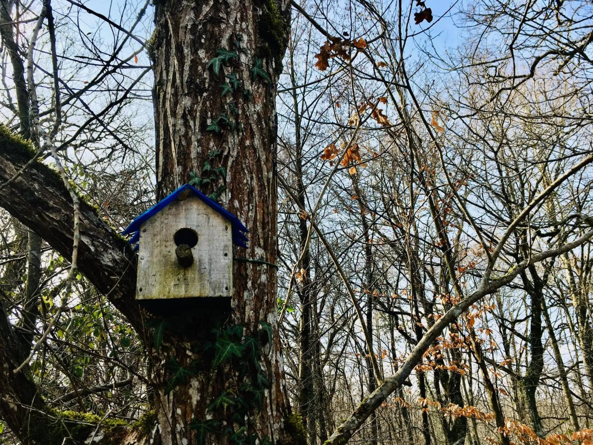 Natural landscape in CAMPING ETXARRI