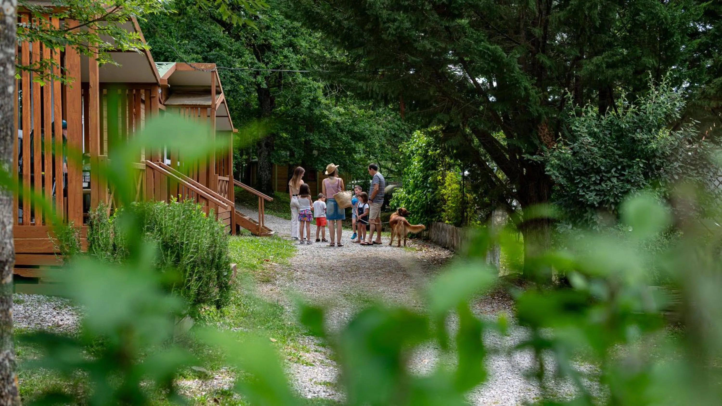 Garden in CAMPING ETXARRI