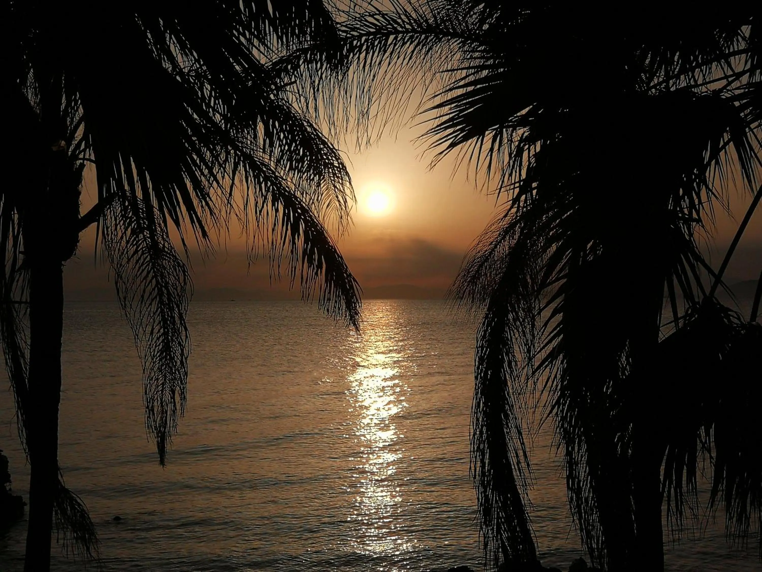 Natural landscape in Miramare Hotel