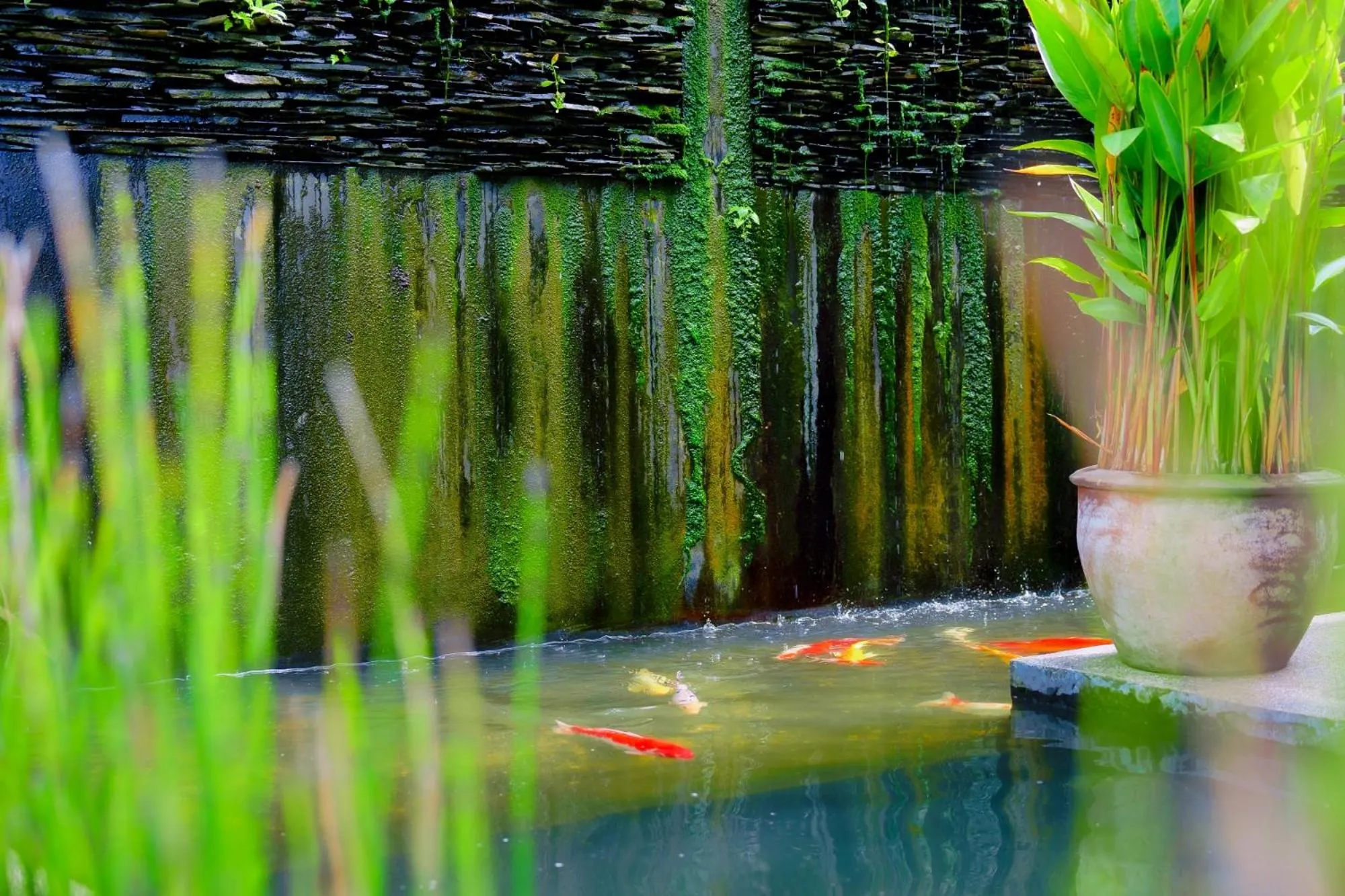 Garden view in Yao Bada Badoo Boutique Resort