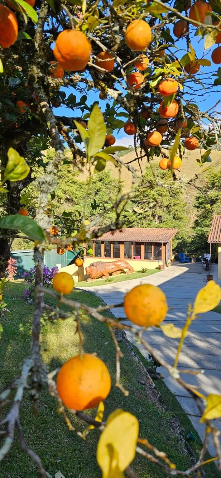 Property building in Pousada Terra Crua