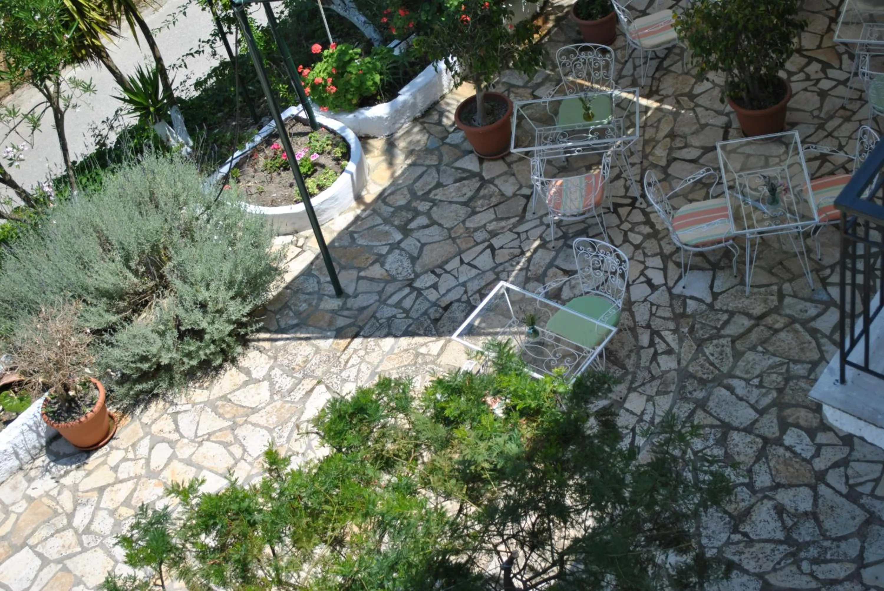 Garden view in Hotel Helios Splendid