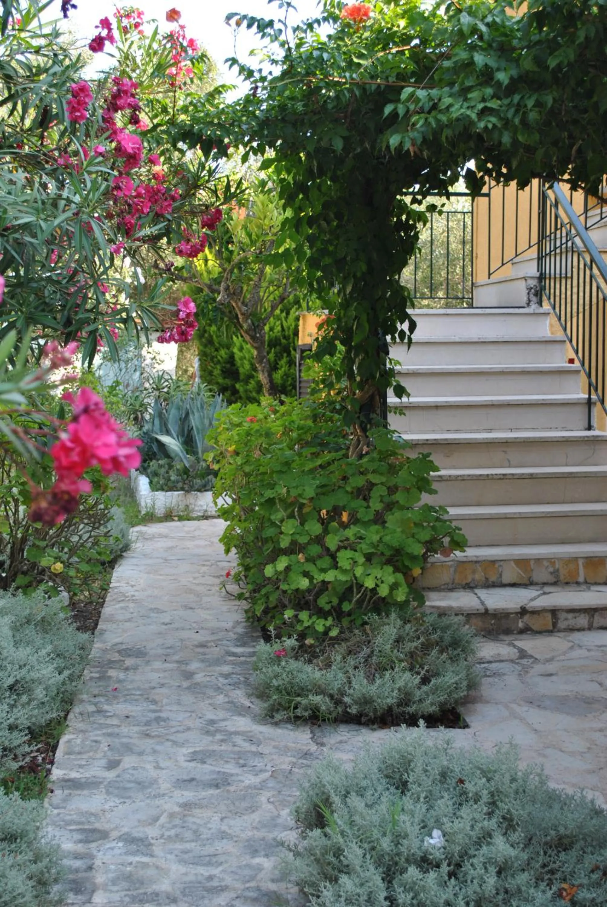 Garden in Hotel Helios Splendid