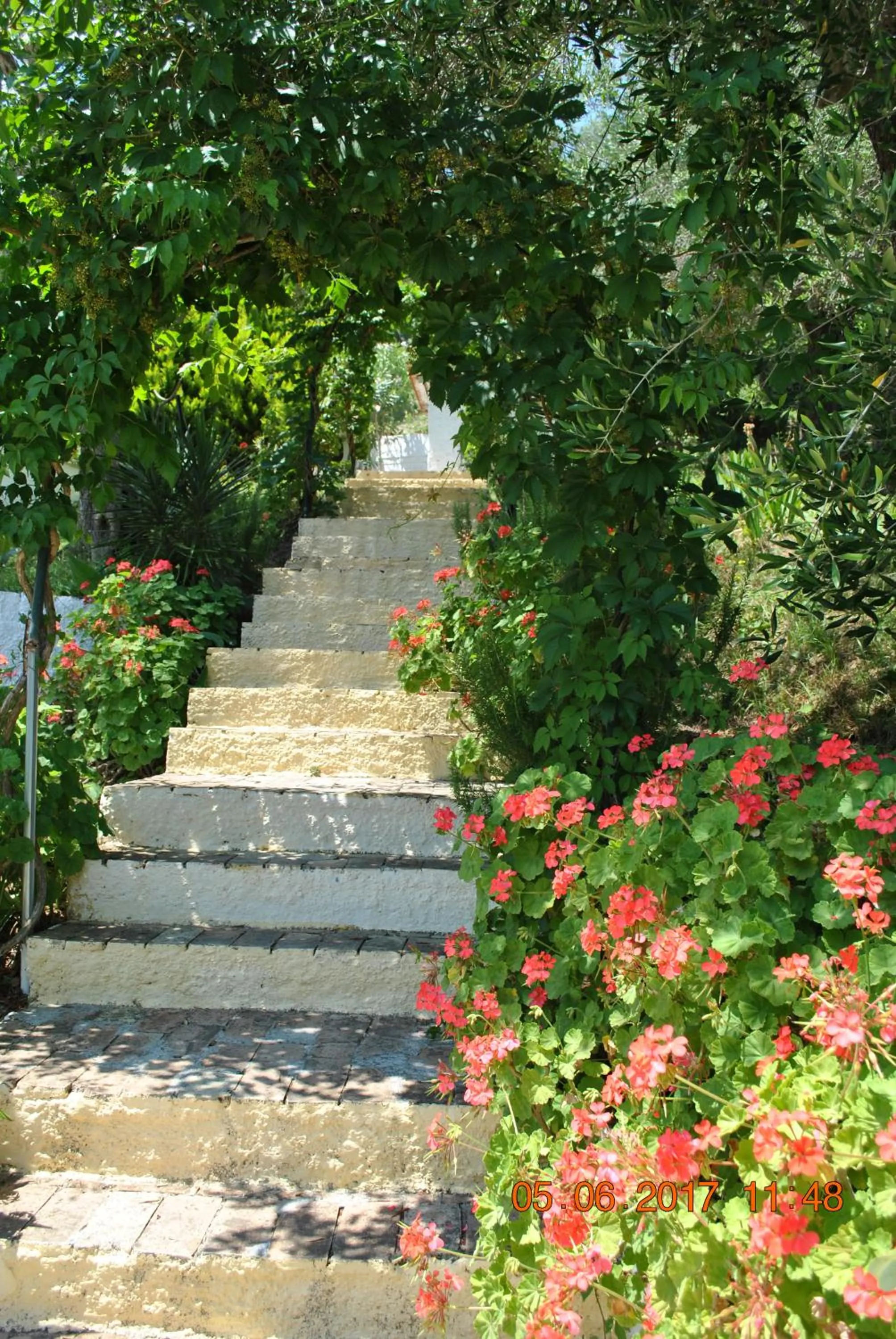 Garden in Hotel Helios Splendid
