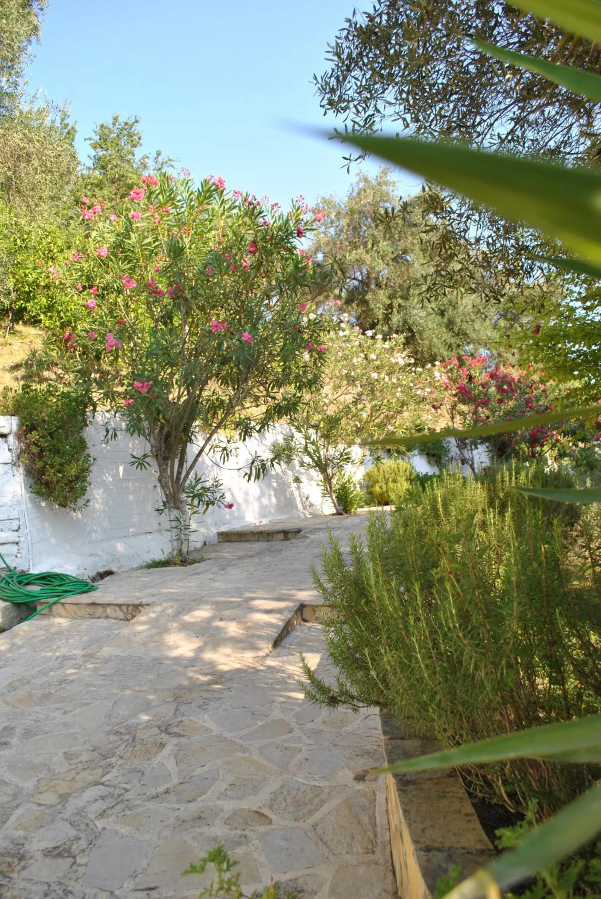 Patio in Hotel Helios Splendid