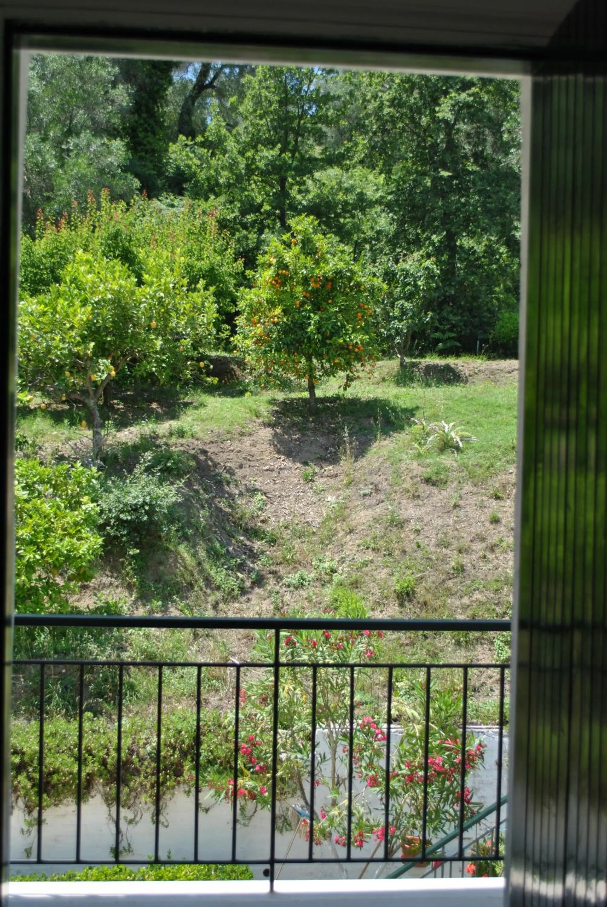 Garden view in Hotel Helios Splendid