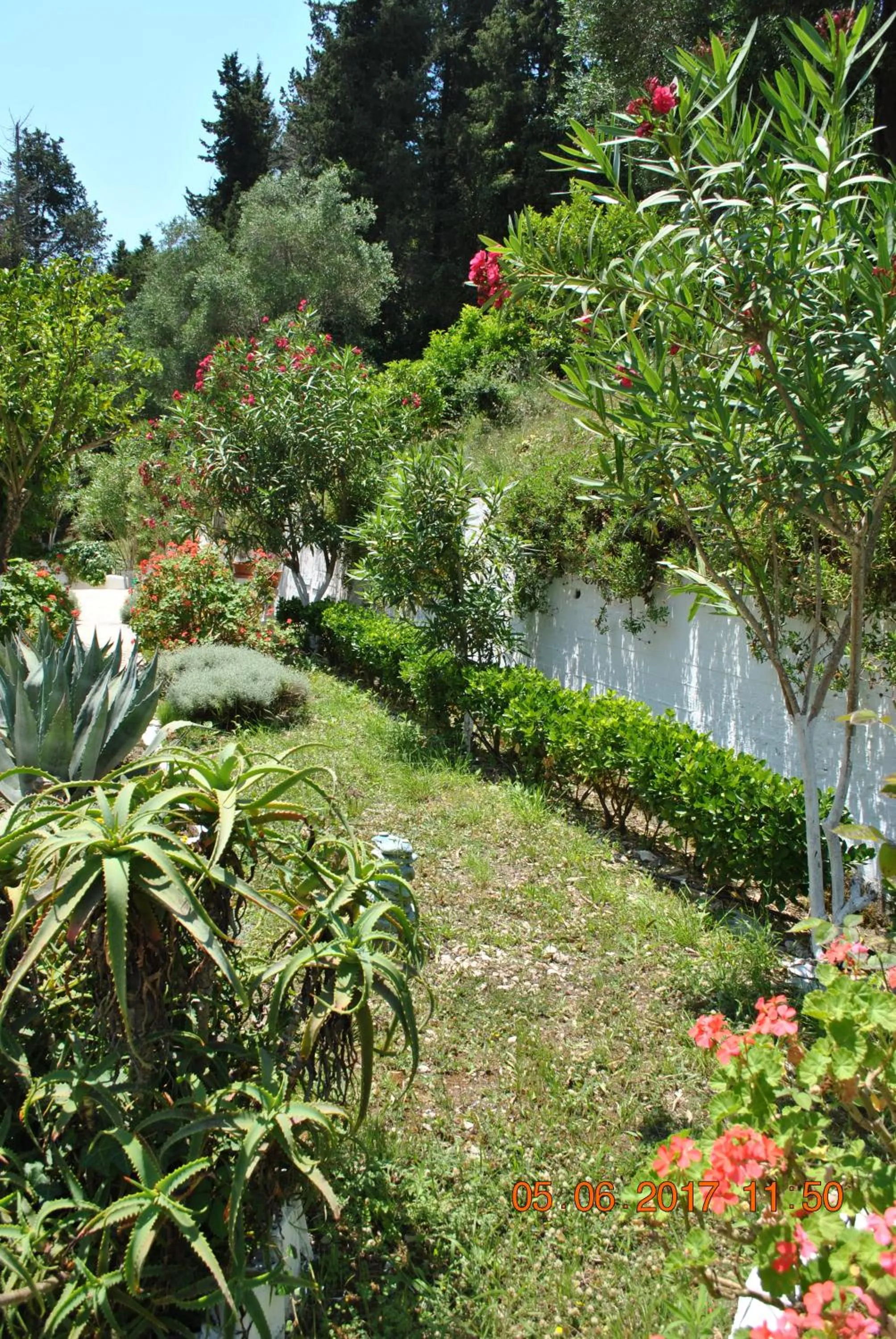 Garden in Hotel Helios Splendid