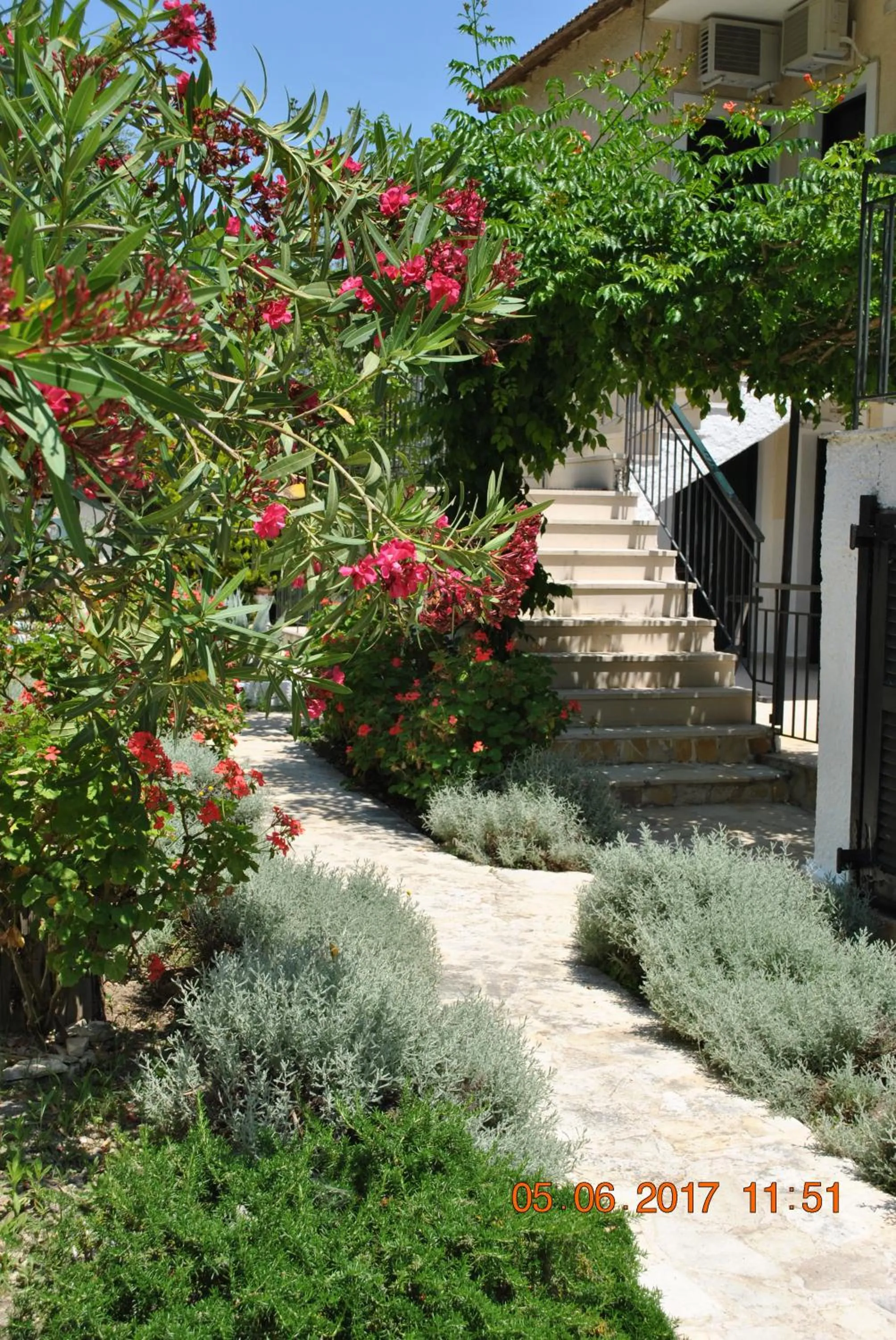 Garden in Hotel Helios Splendid