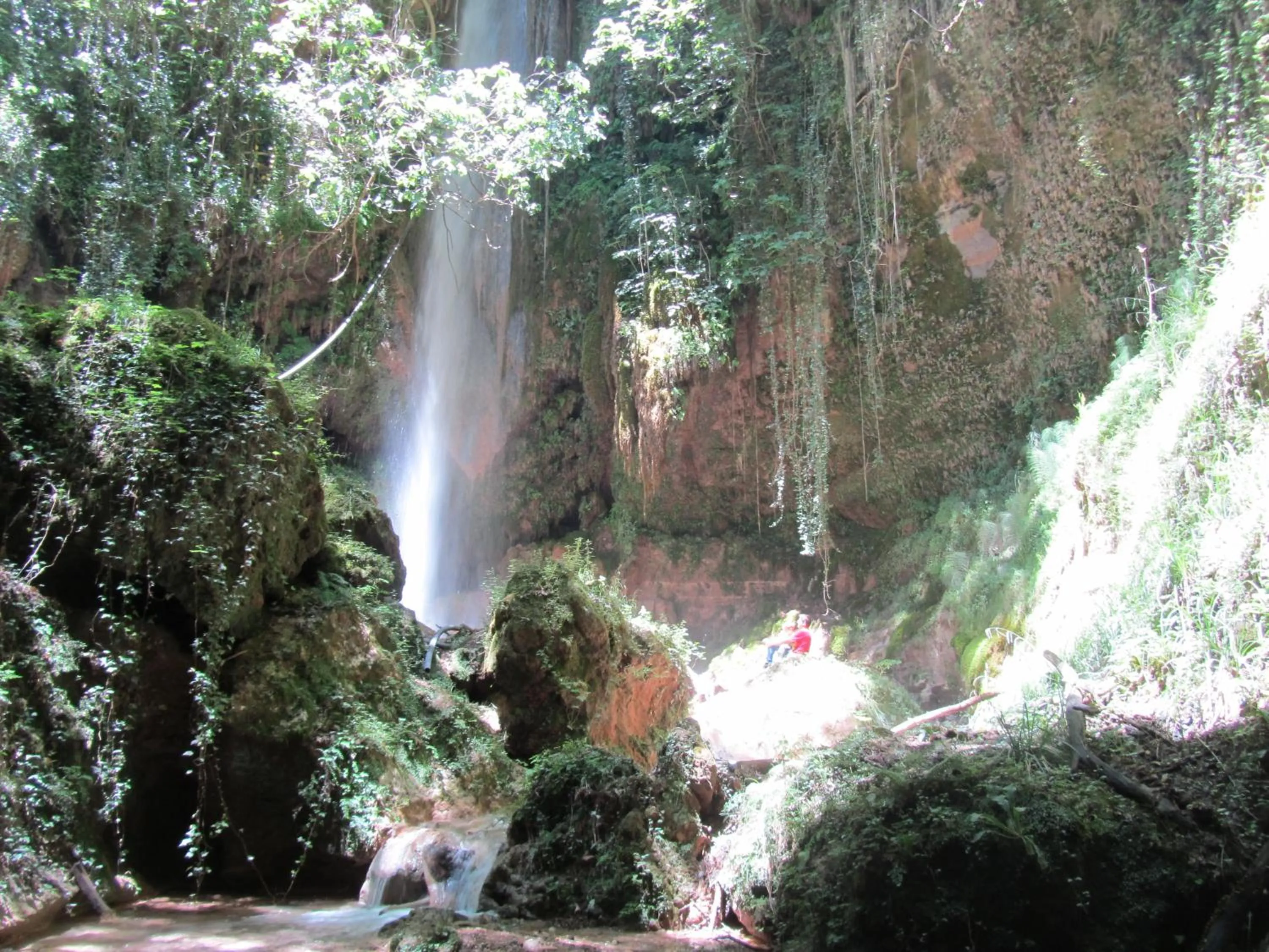 Natural landscape in Hotel Europa Olympia