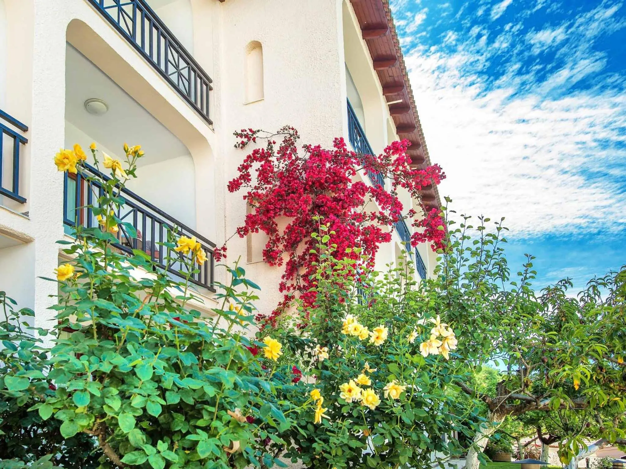 Spring in Hotel Europa Olympia