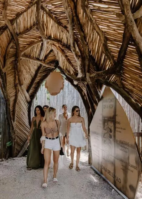 Day in CervecerIa Tulum Boutique Hotel & Beer Spa