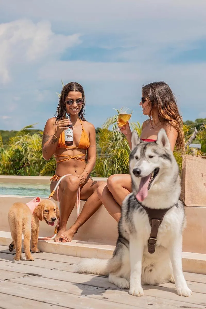 Tulum Brew House Hotel - Adults Only