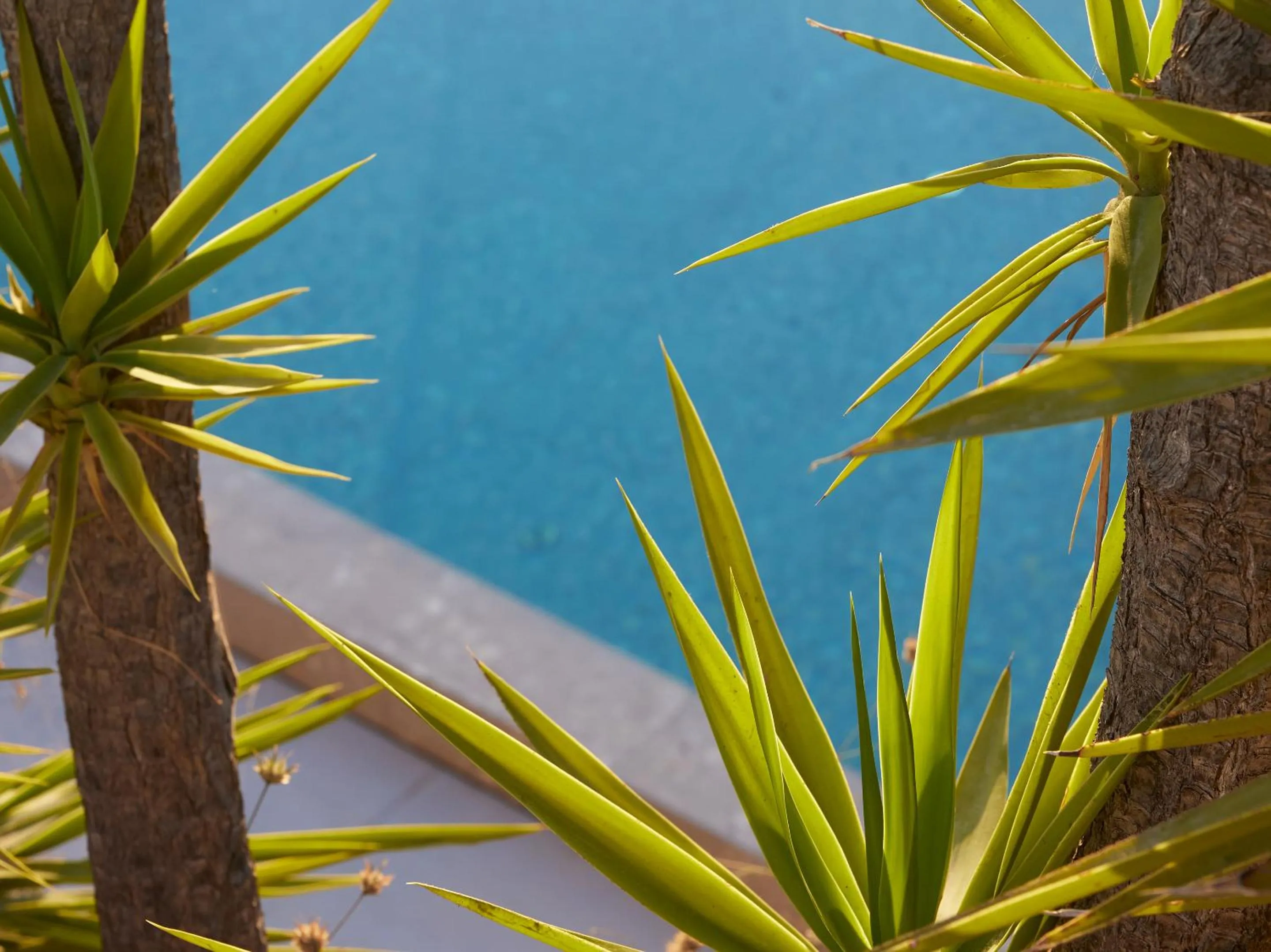Swimming pool in The Roc Club, A Grecotel Hotel to Live