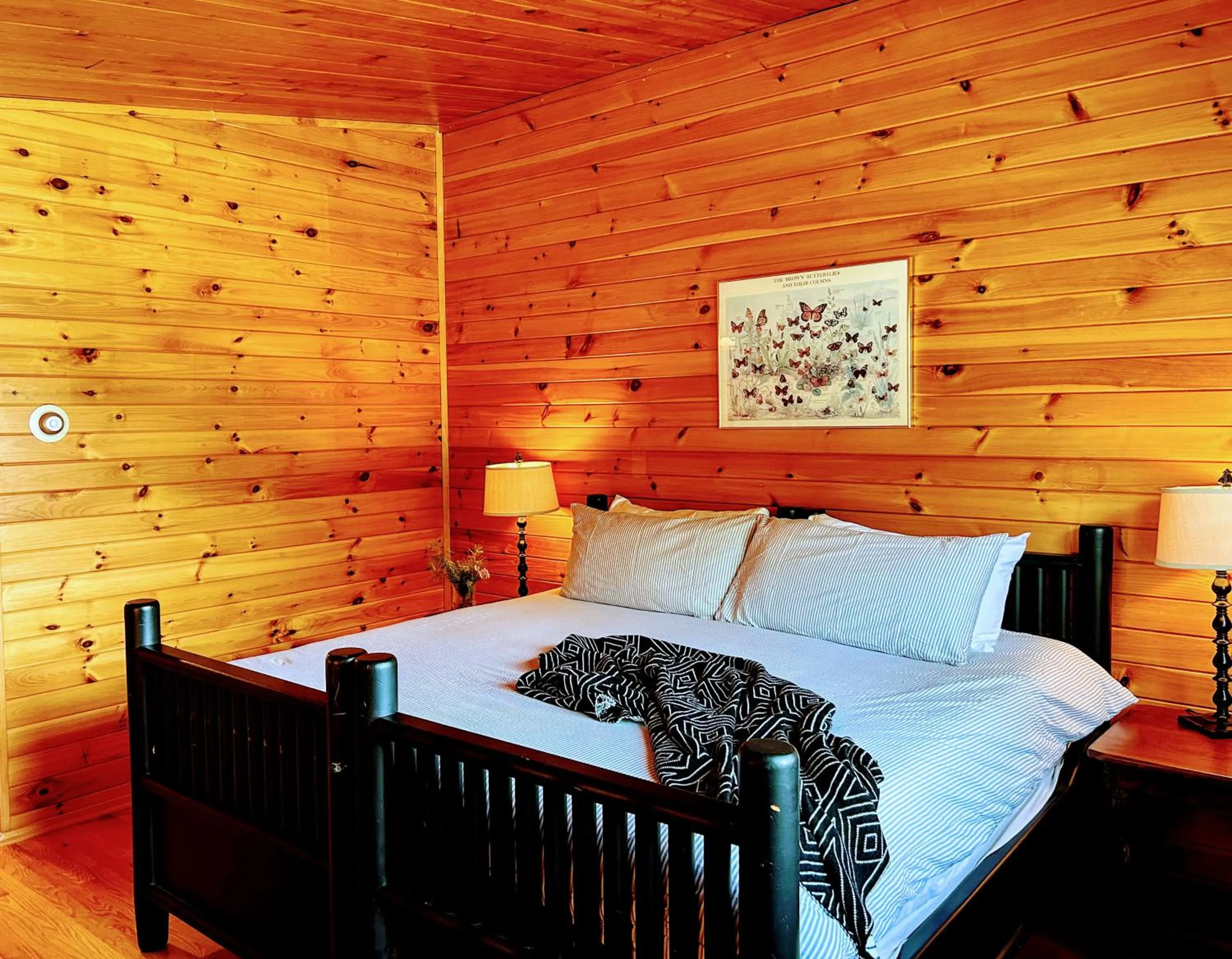 Bed in NewVida Preserve