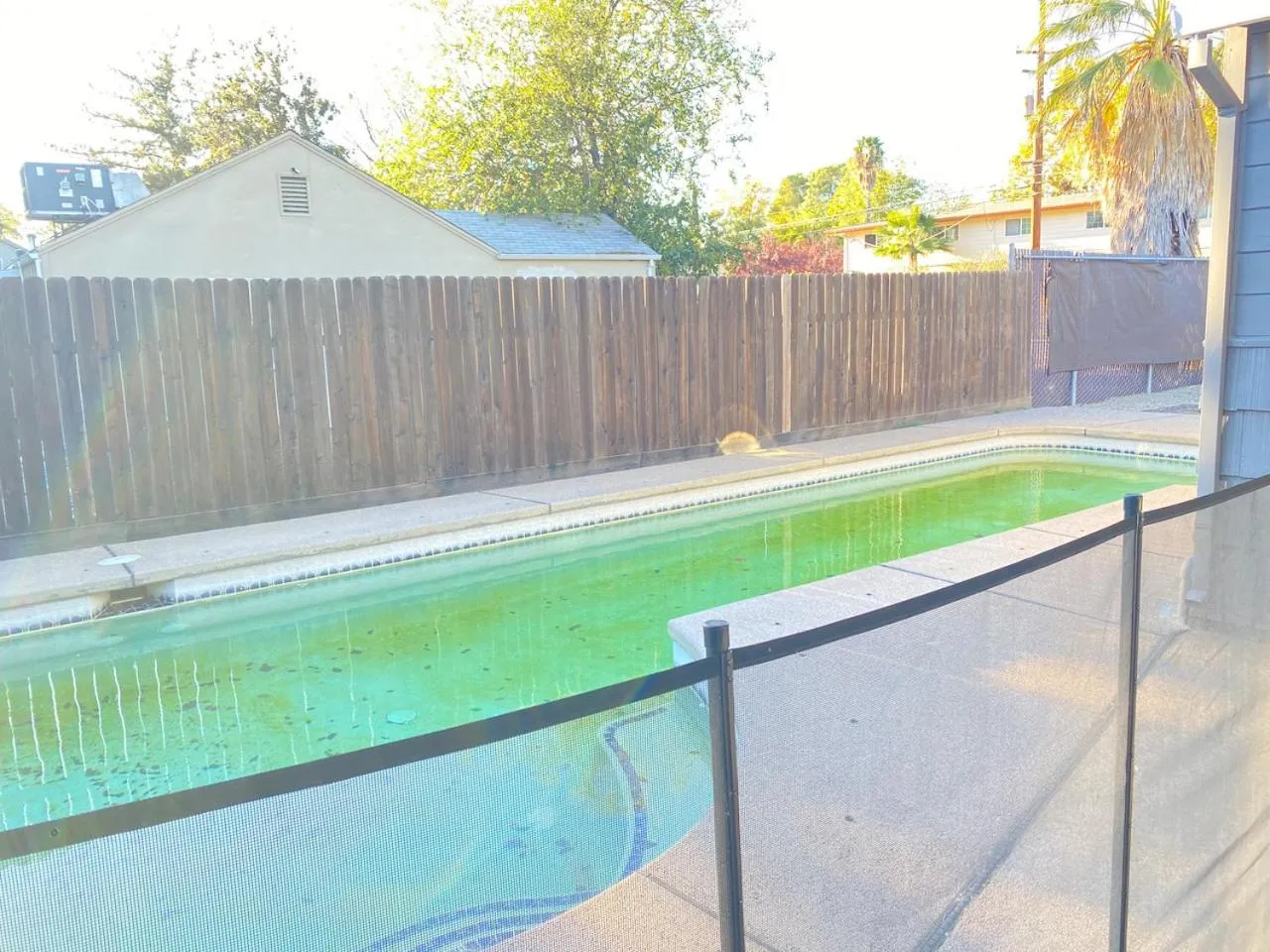 WHOLE Family - Edison