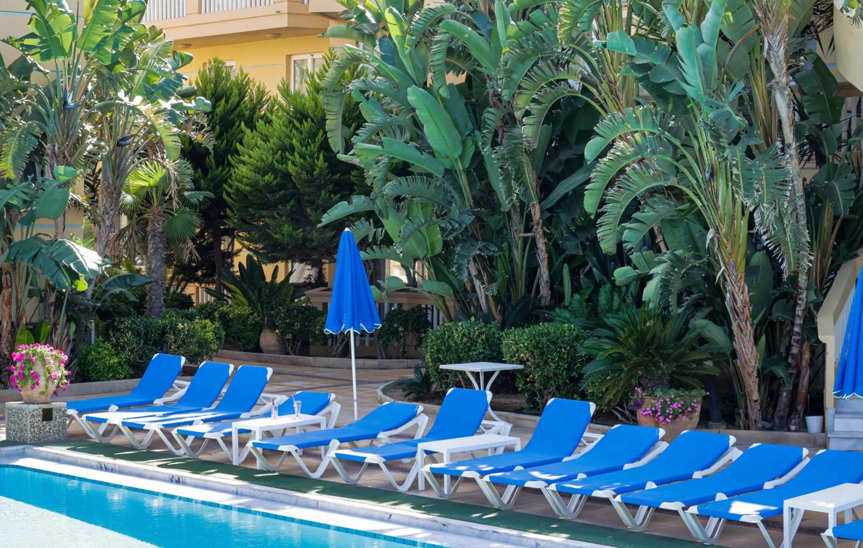 Garden view in Futura Hotel