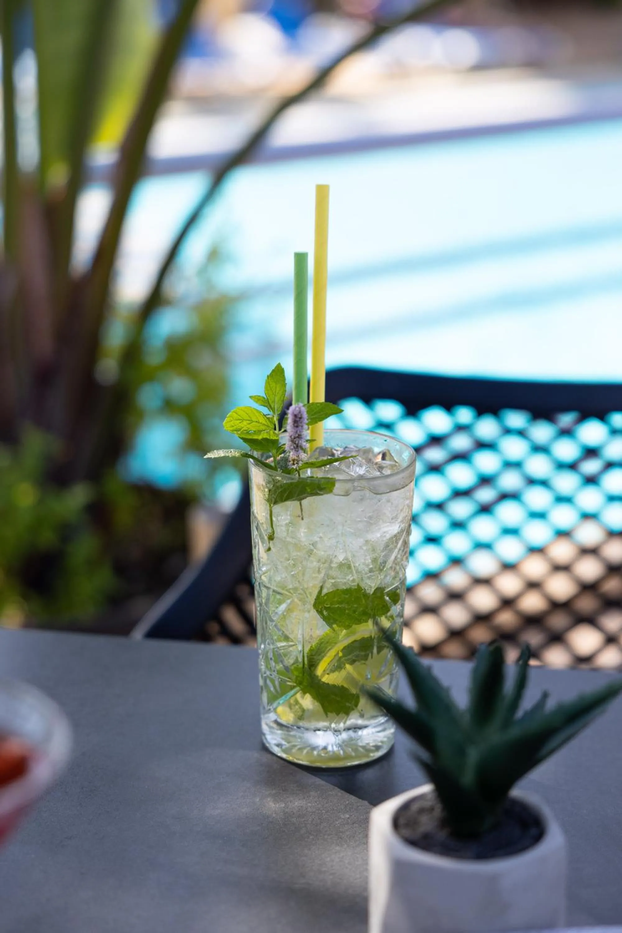 Lounge or bar in Futura Hotel