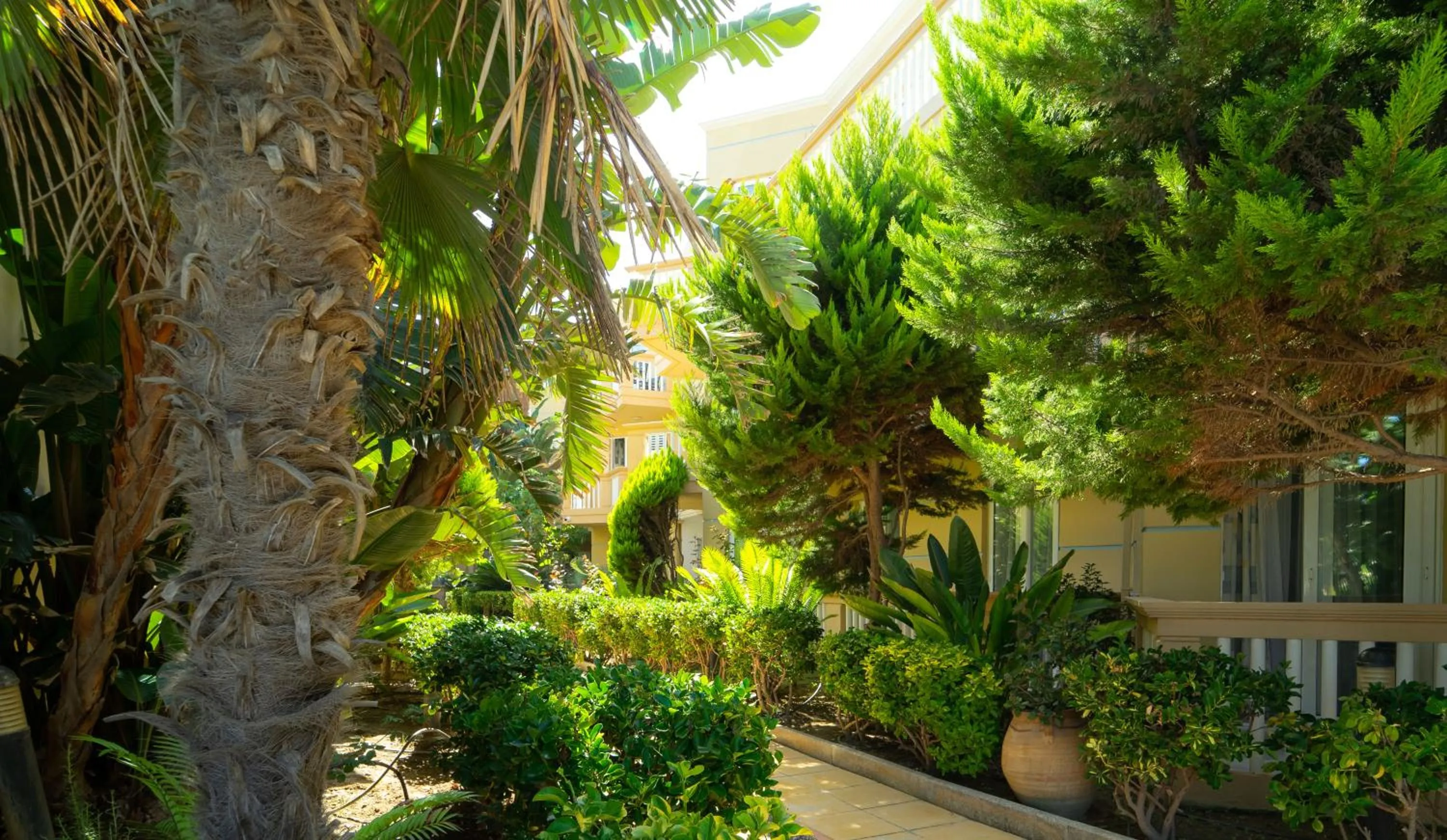 Garden in Futura Hotel