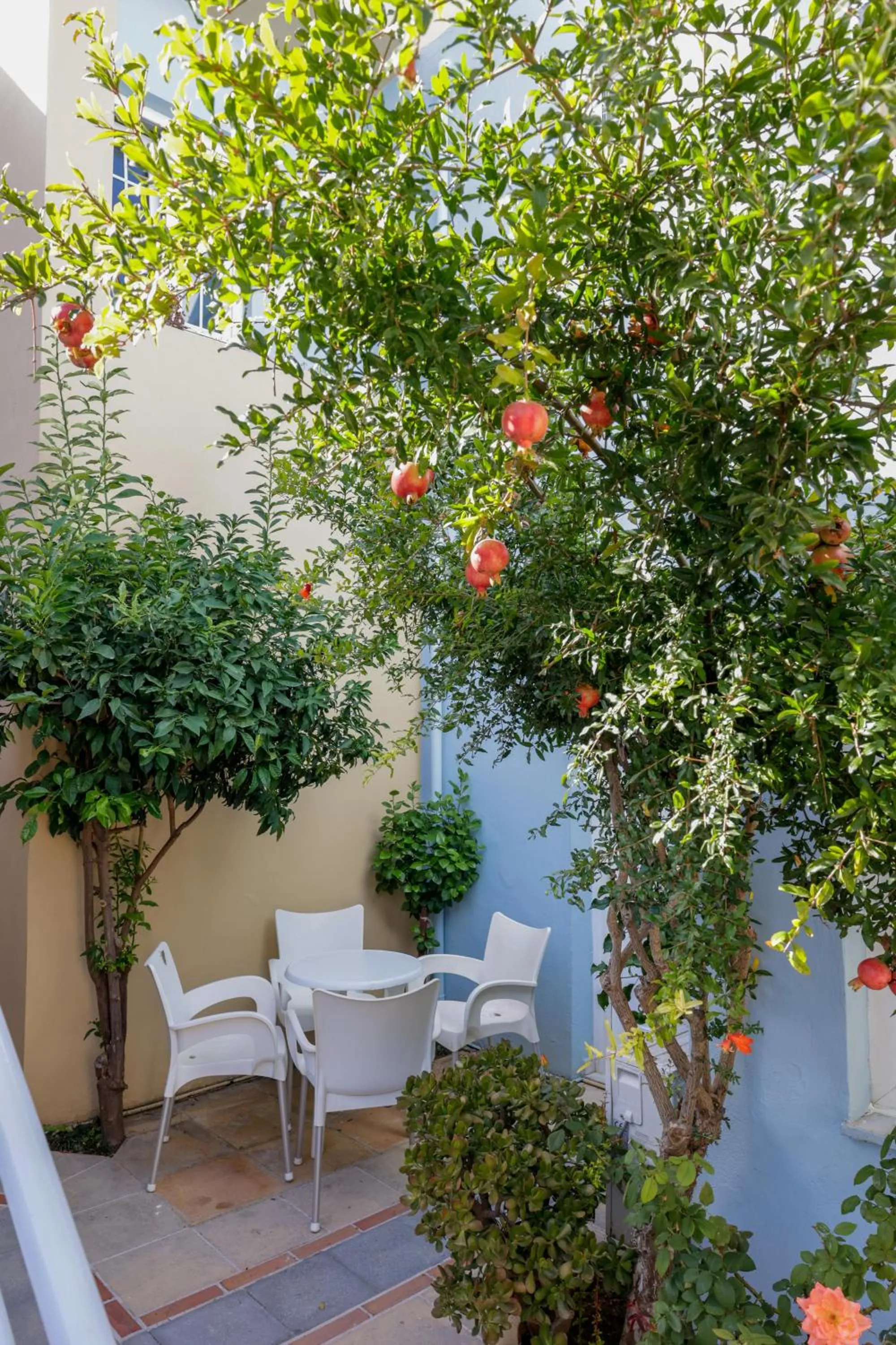 Garden in Futura Hotel