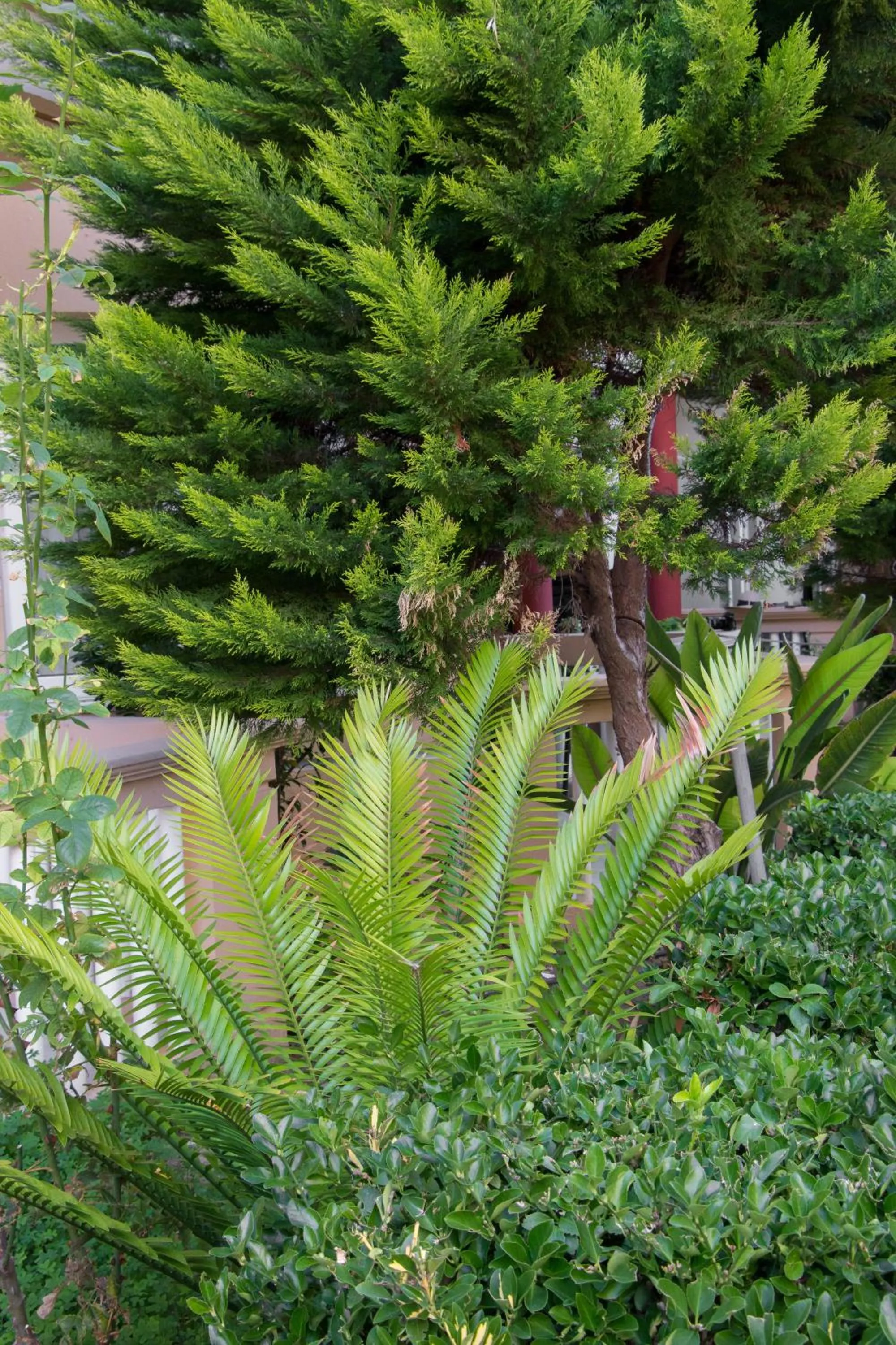Garden in Futura Hotel