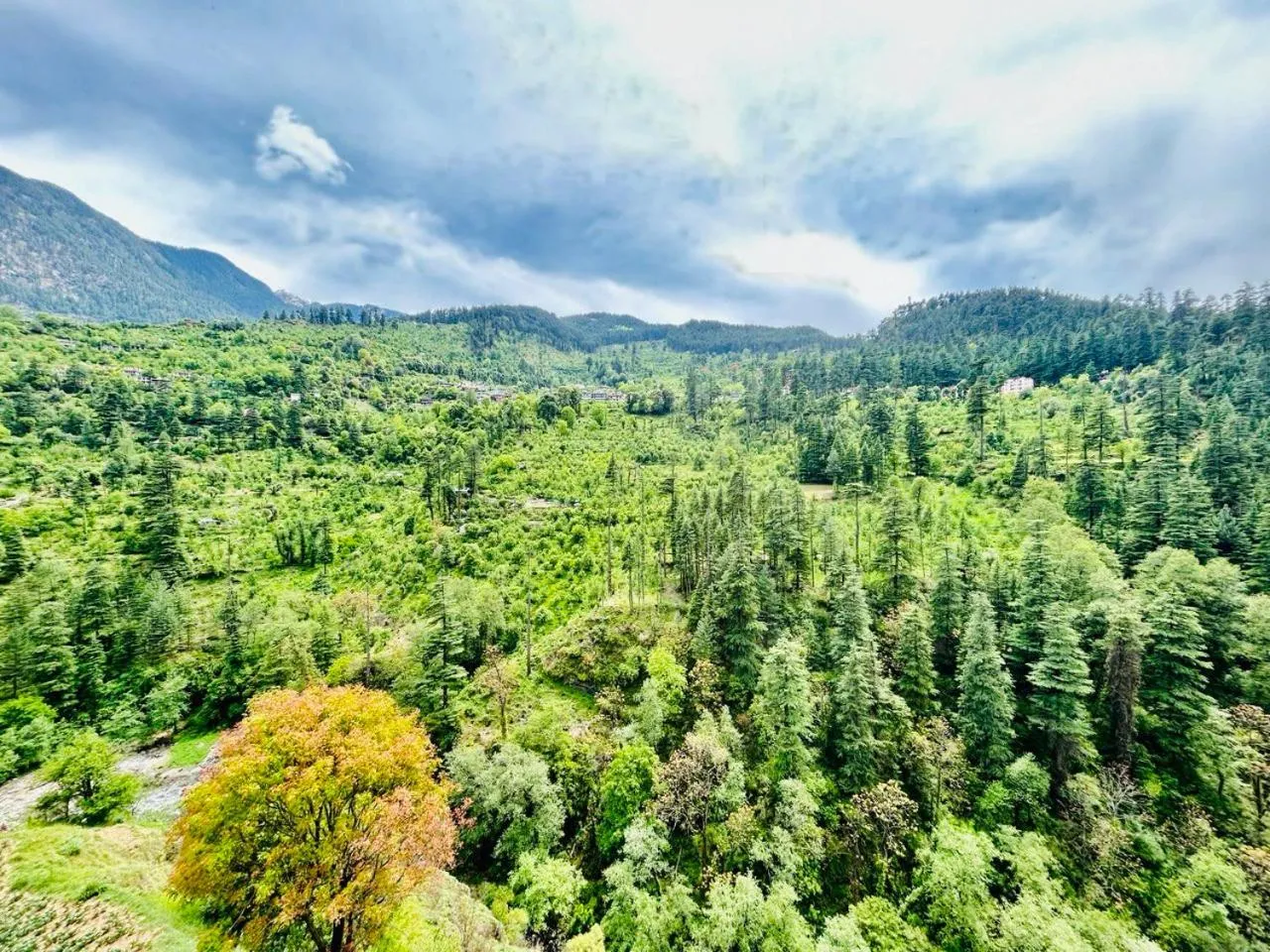 Mountain view in Kasol Hostel