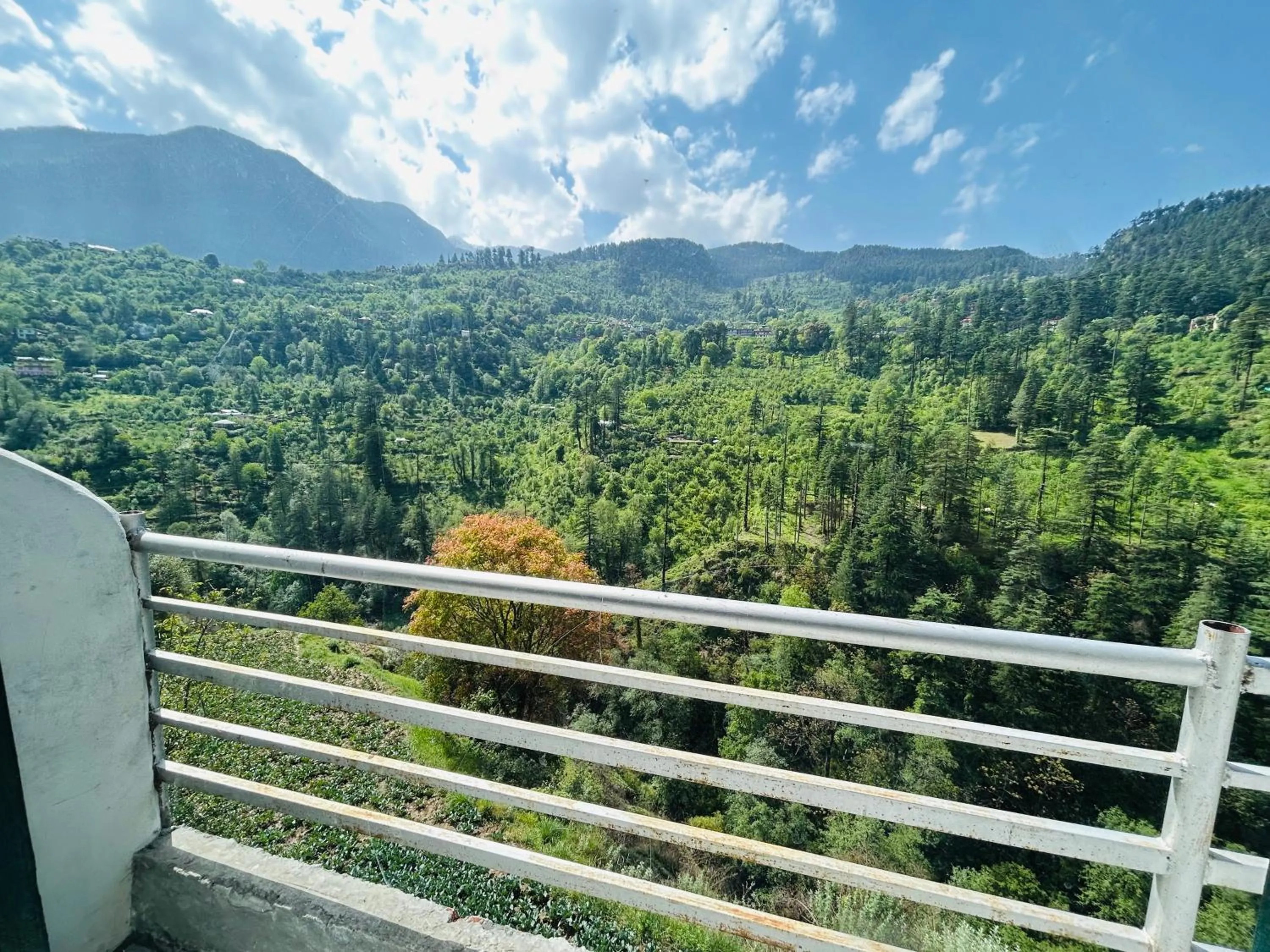 View (from property/room) in Kasol Hostel
