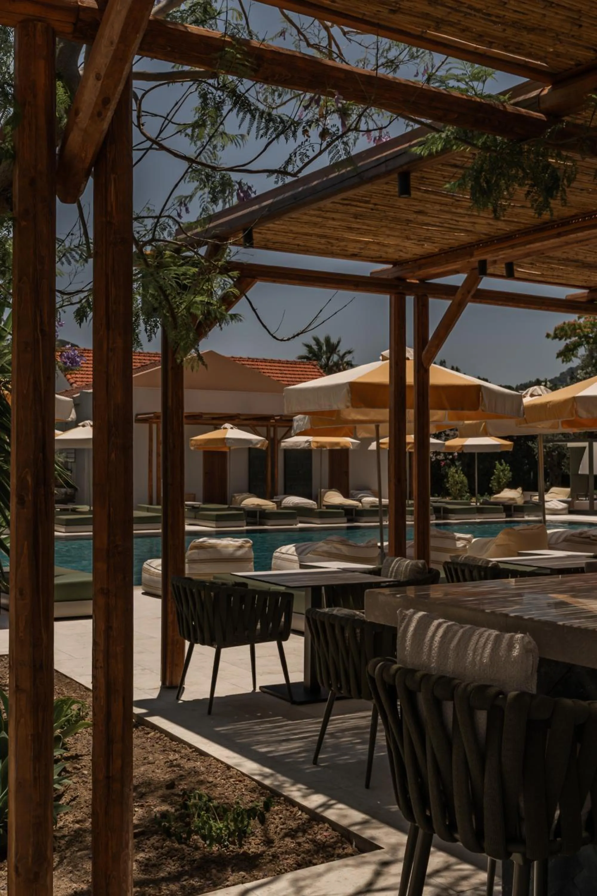 Lounge or bar in Eleonas Boutique Hotel & Spa - Adults Only