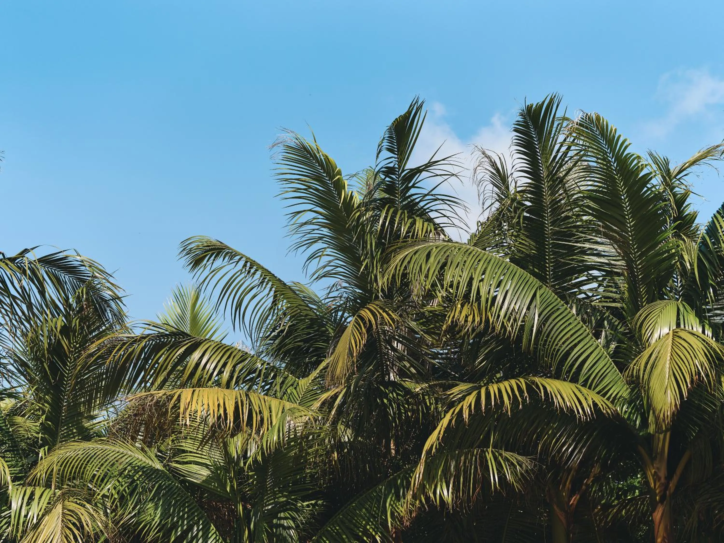 Off site in Villa El Cielo Ishigaki