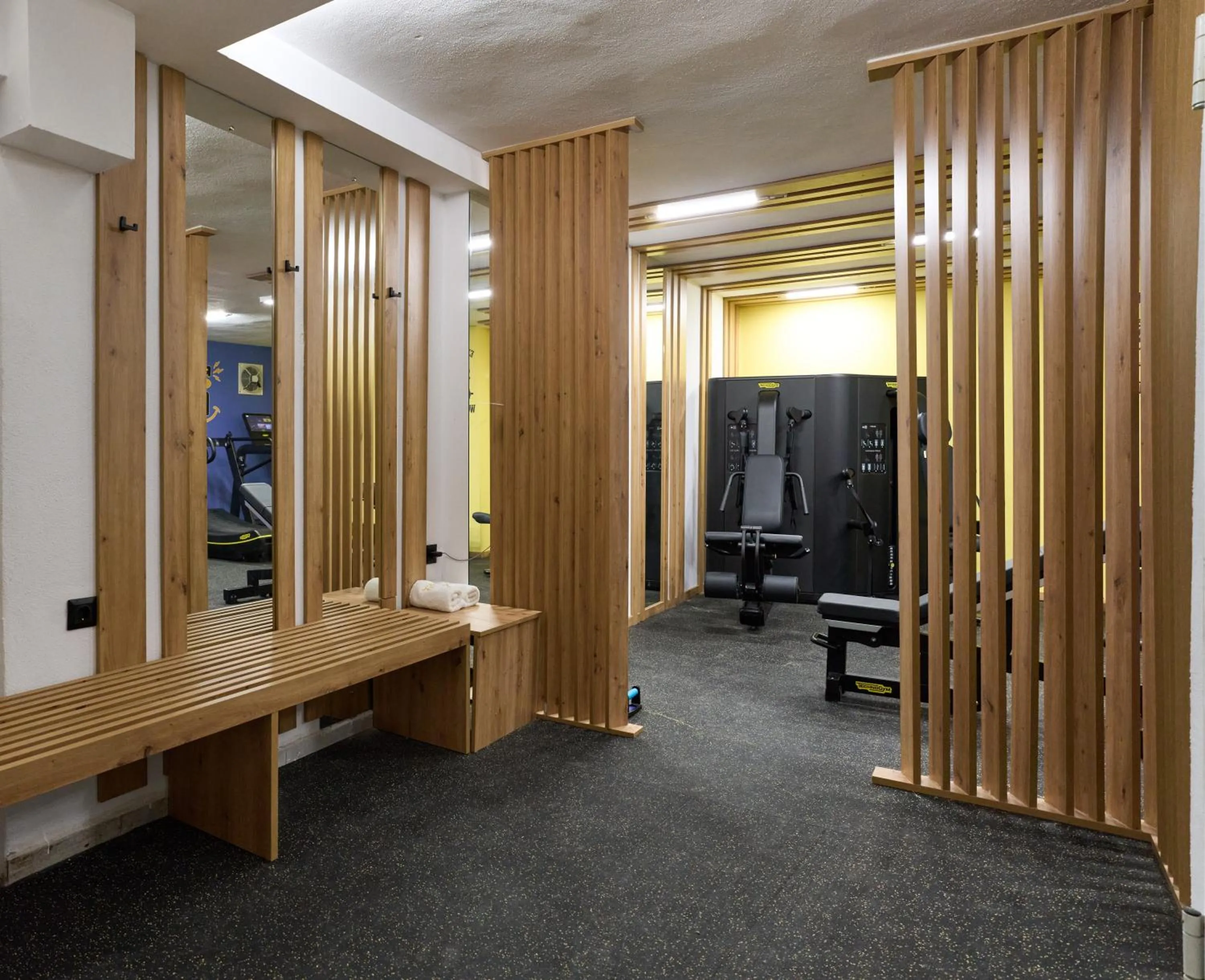 Fitness centre/facilities in Hotel Erika