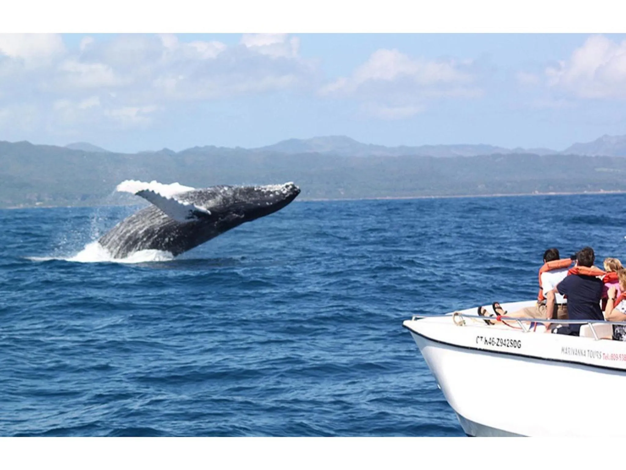 Best bed and breakfast in Samana Breakfast Included