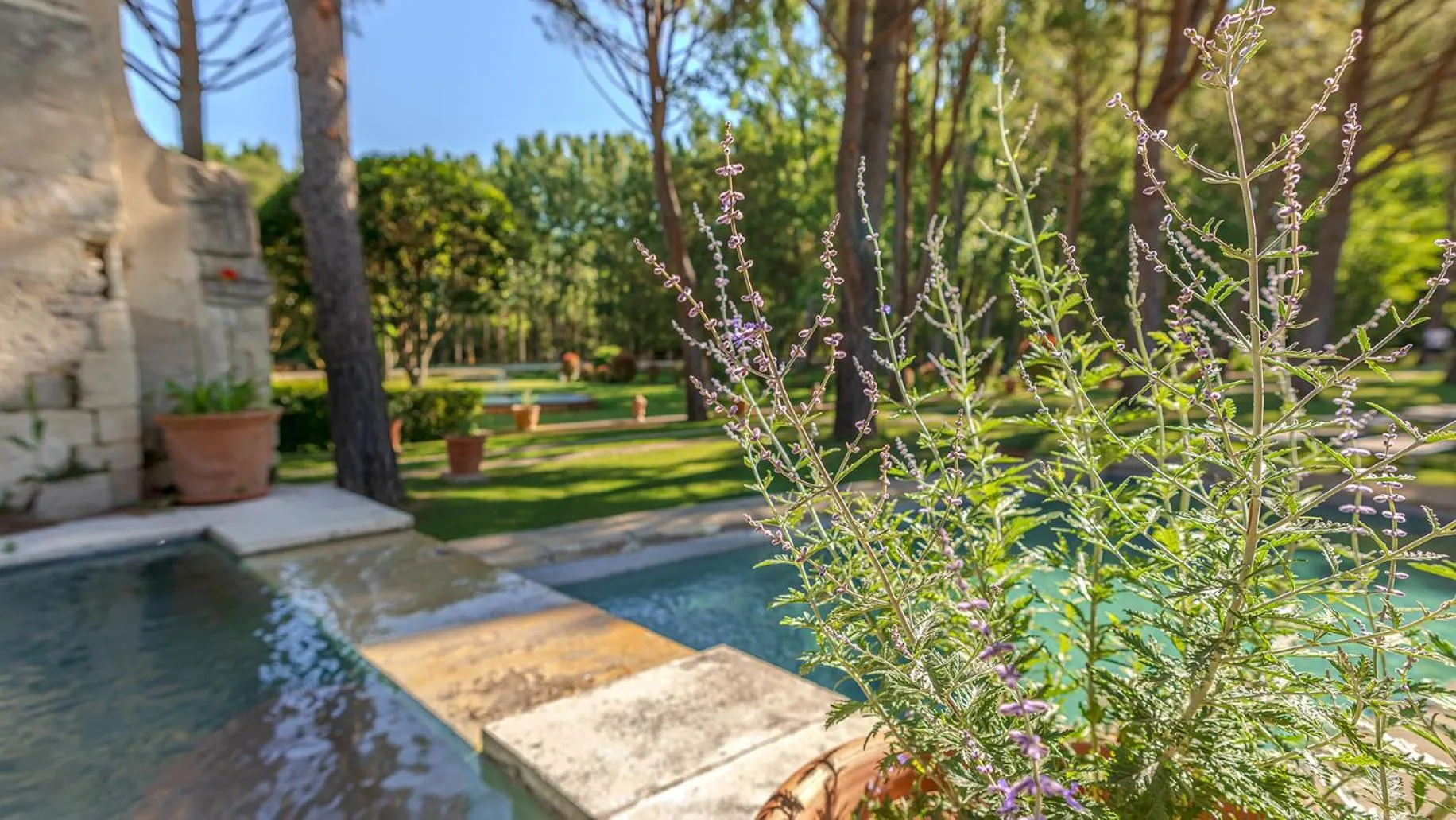 Other in Chateau Talaud