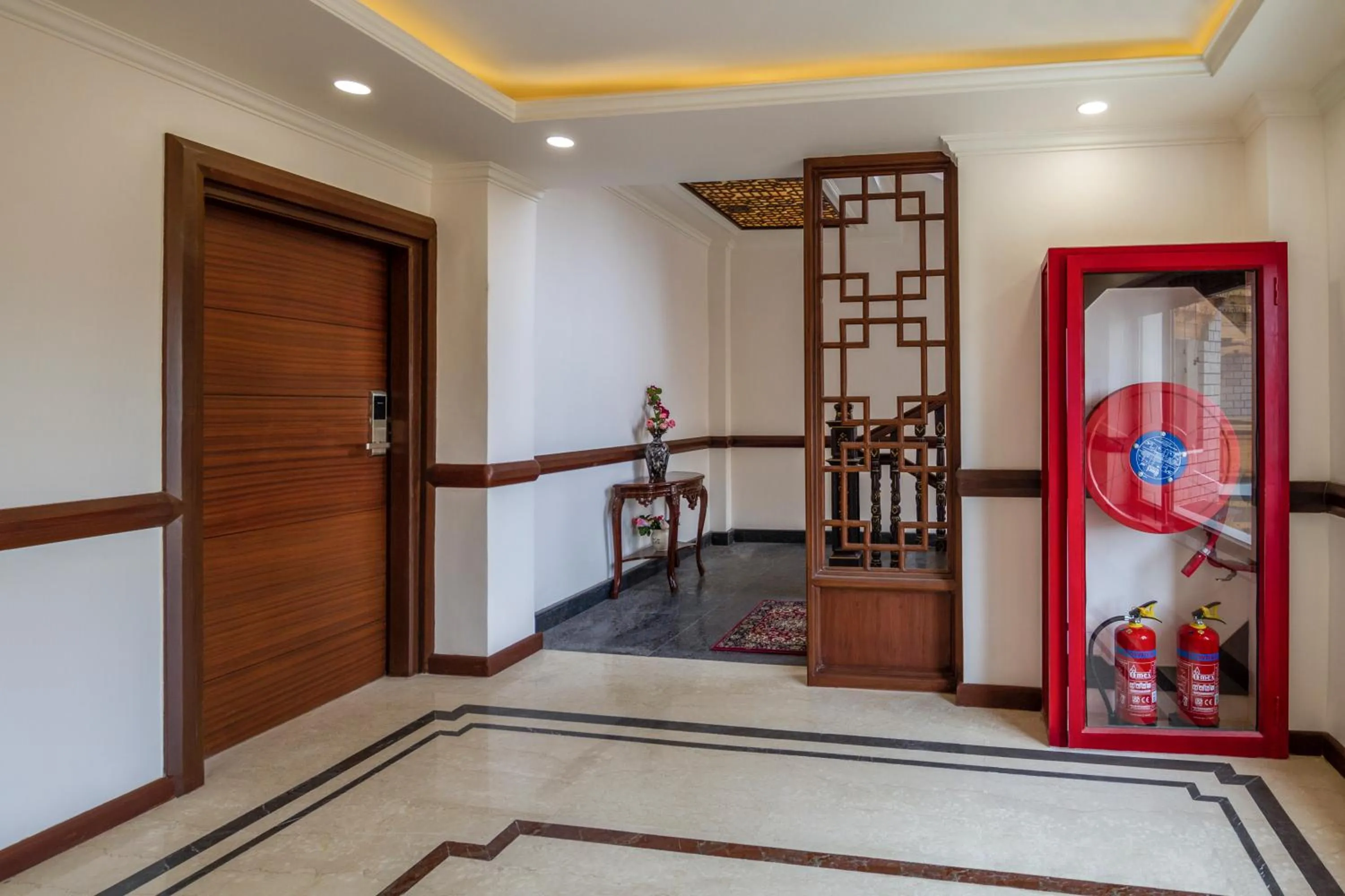 flat iron in Hotel Gyalpo Residency - A Mountain View Luxury Hotel in Leh