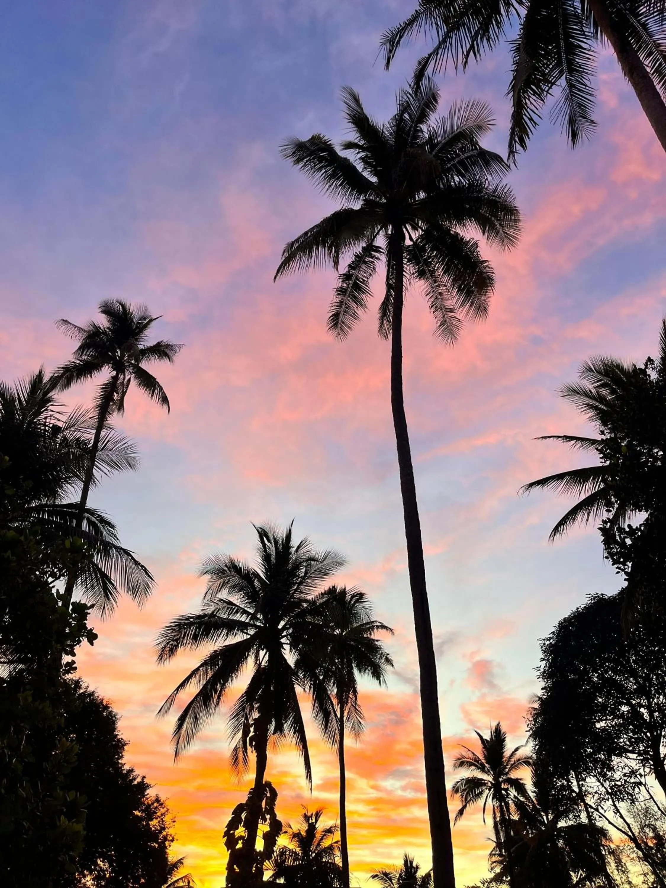 Property building in Better View Koh Yao Yai