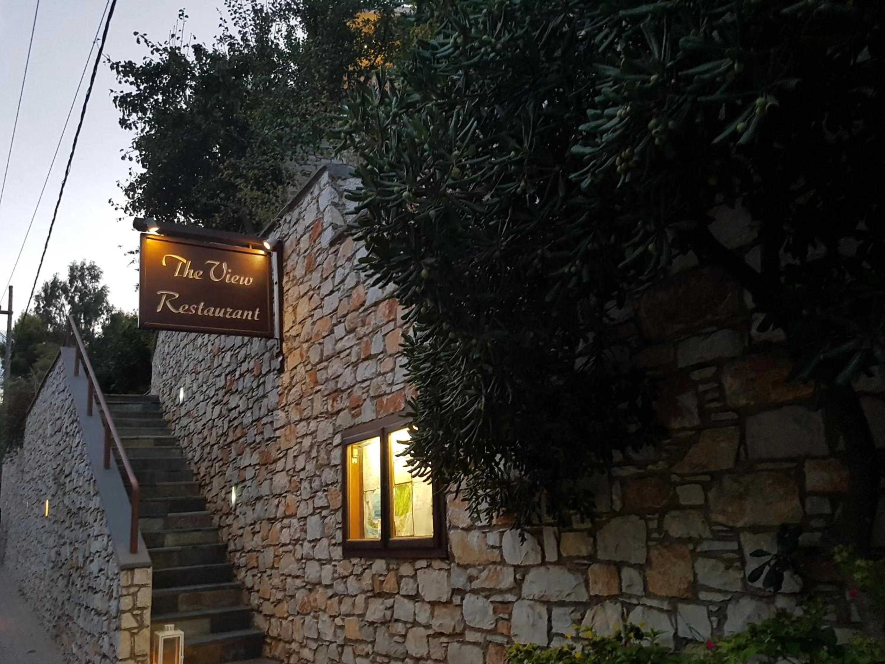 Restaurant/places to eat in Magic Hotel