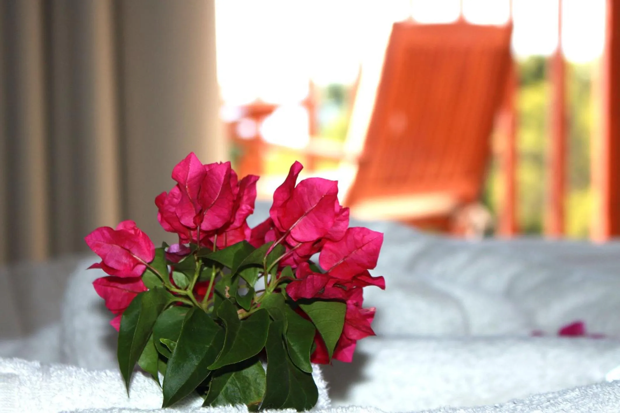Decorative detail, Bed in Magic Hotel