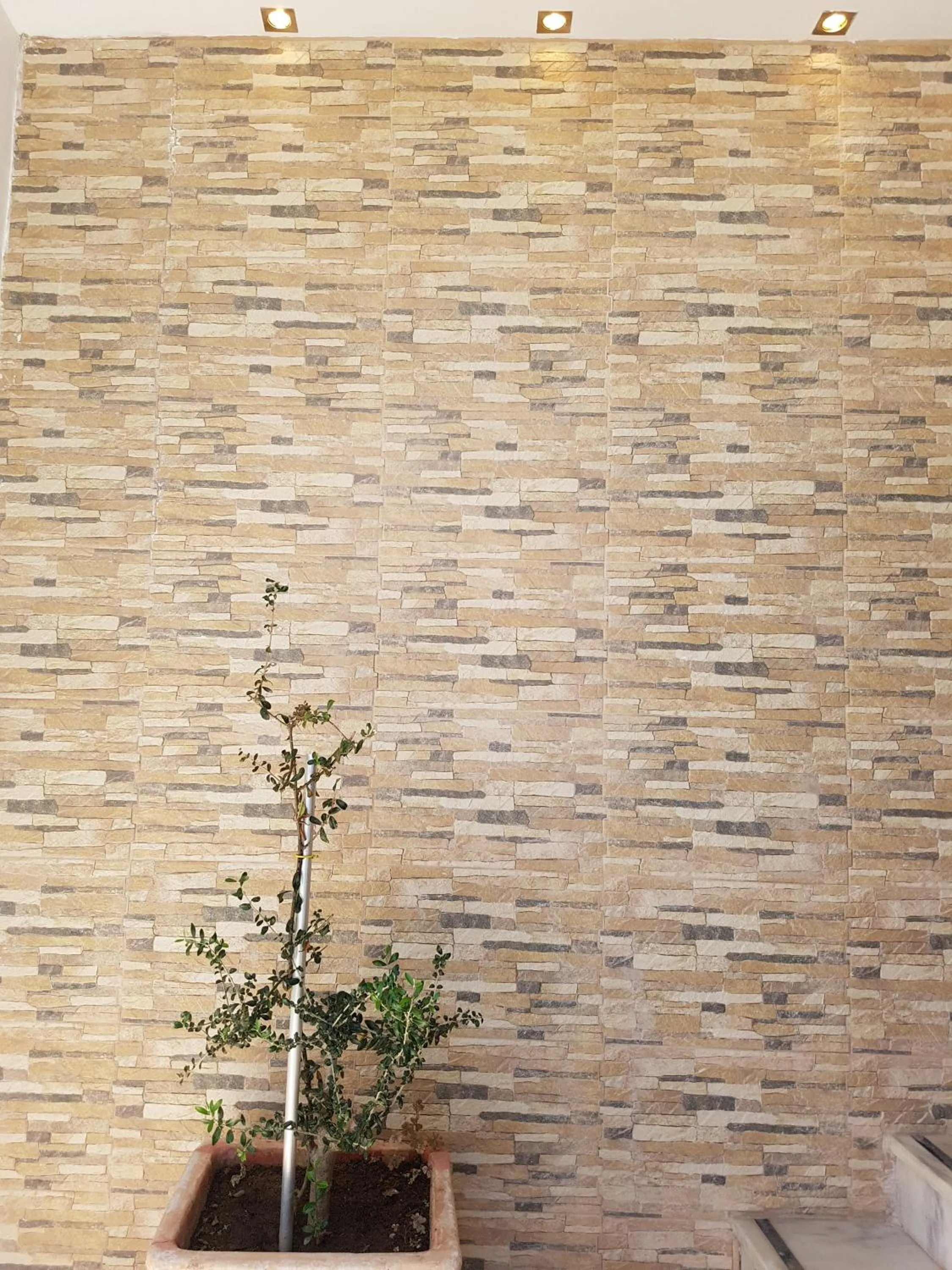 Decorative detail in Magic Hotel