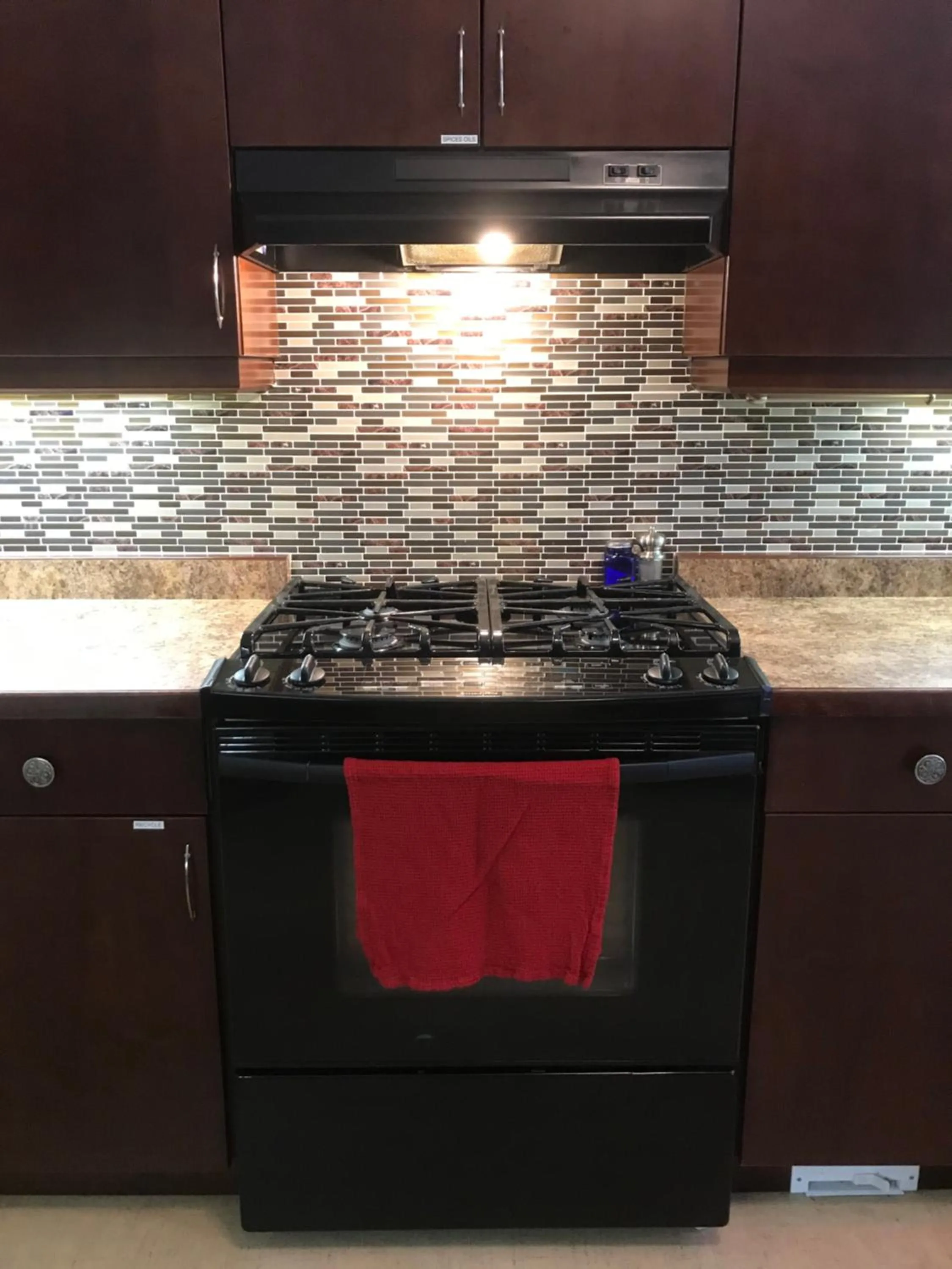 stove in Cozy Luxury on the Thames in Ontario!