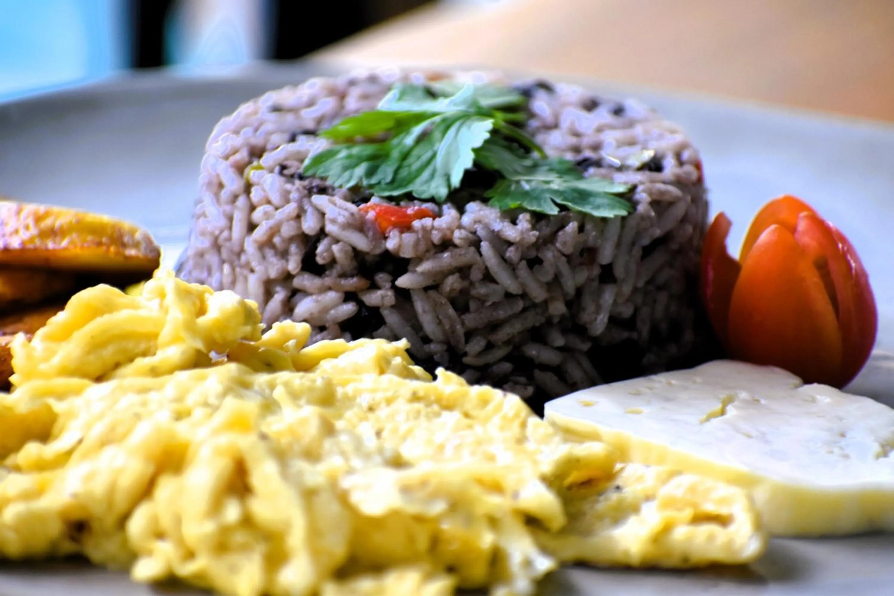 Breakfast in Hotel Planeta Sano
