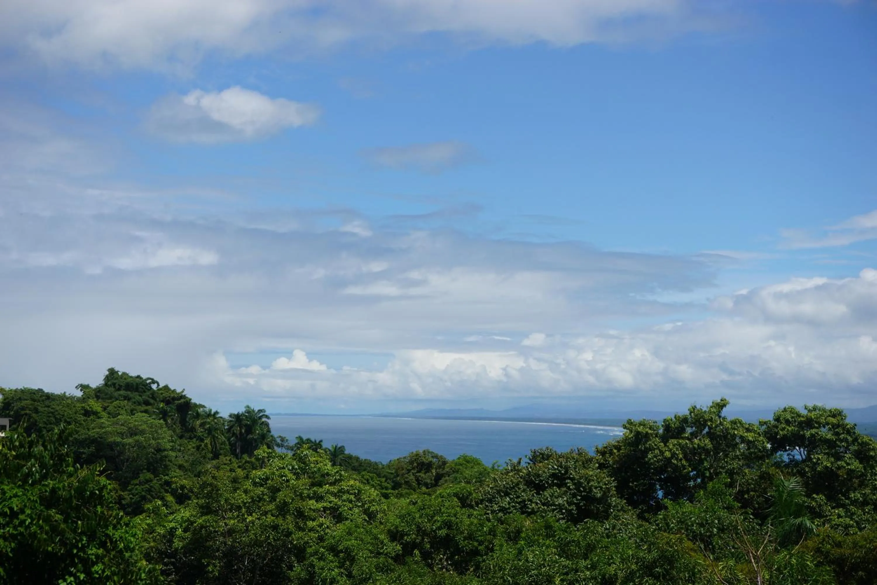 Garden view in Hotel Planeta Sano
